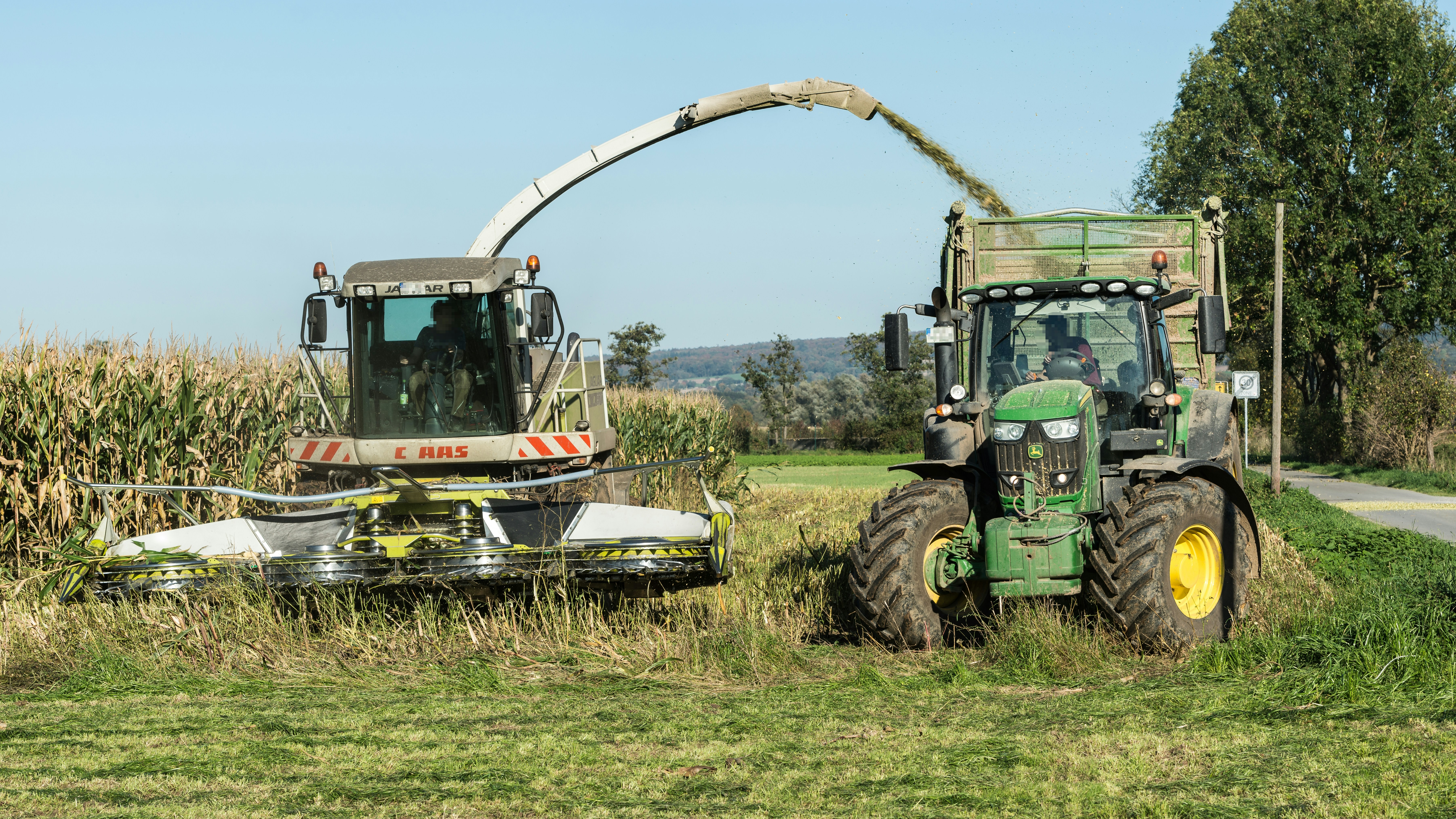 Photo by hamburgmeinefreundin