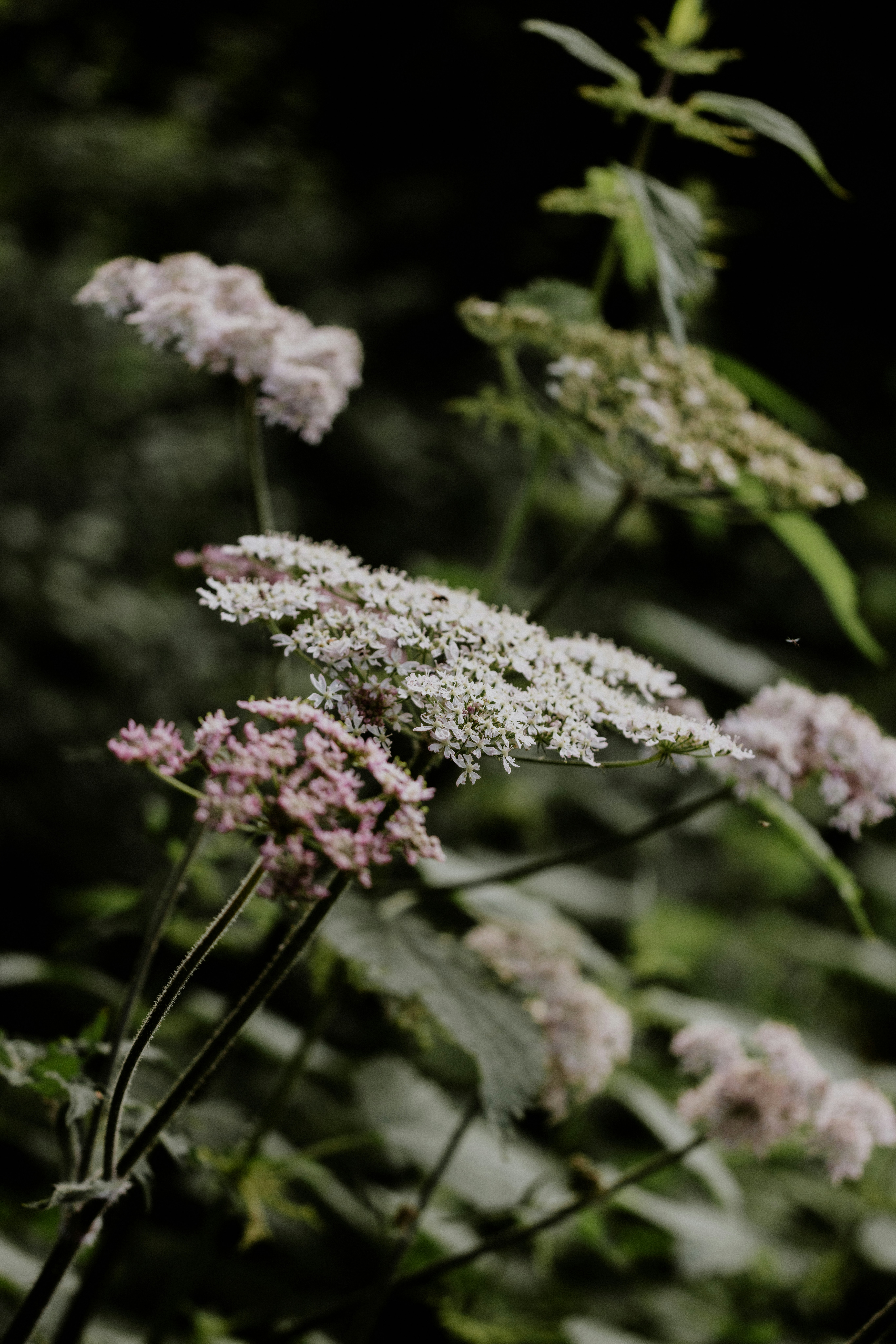 Photo by anniespratt