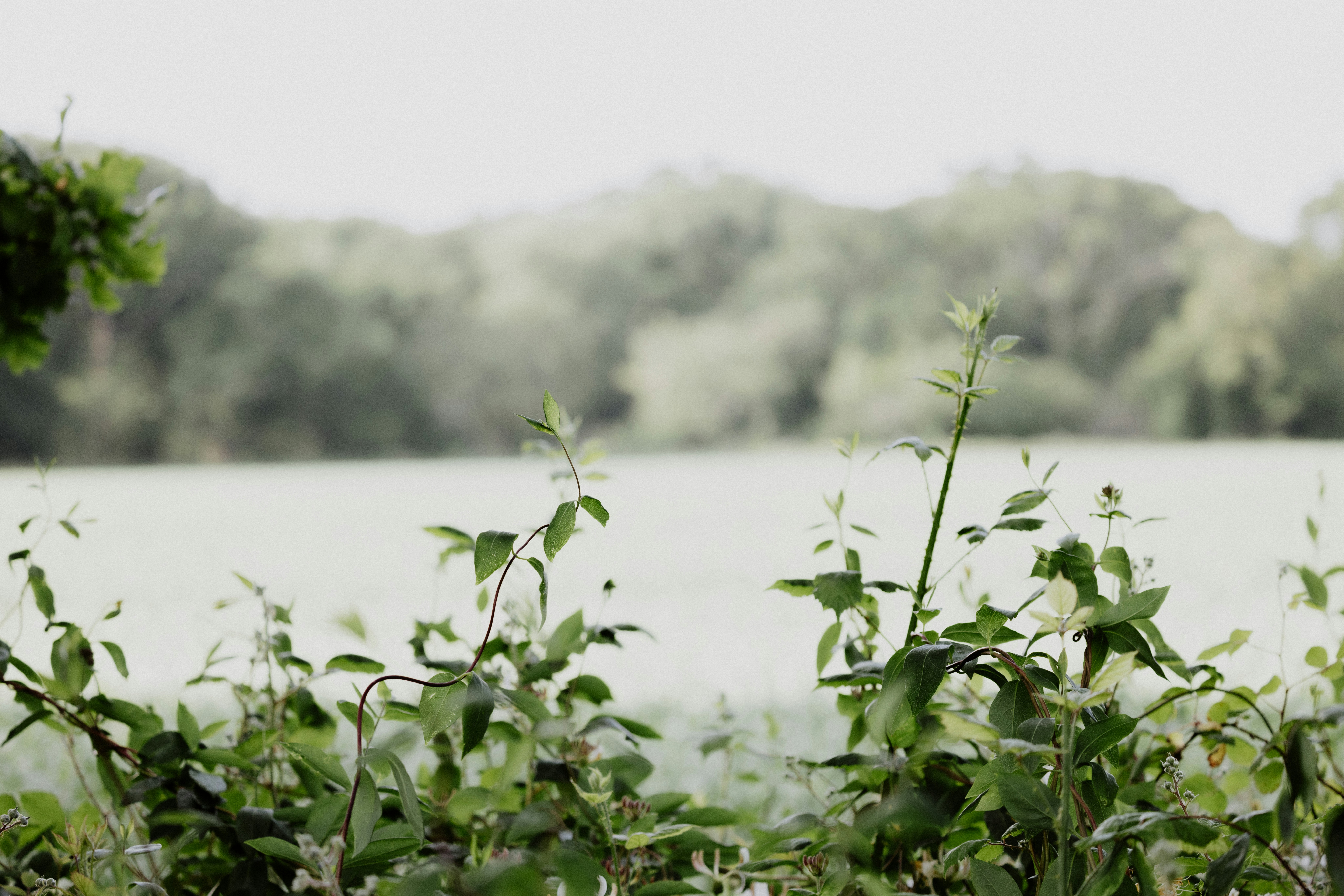 Photo by anniespratt