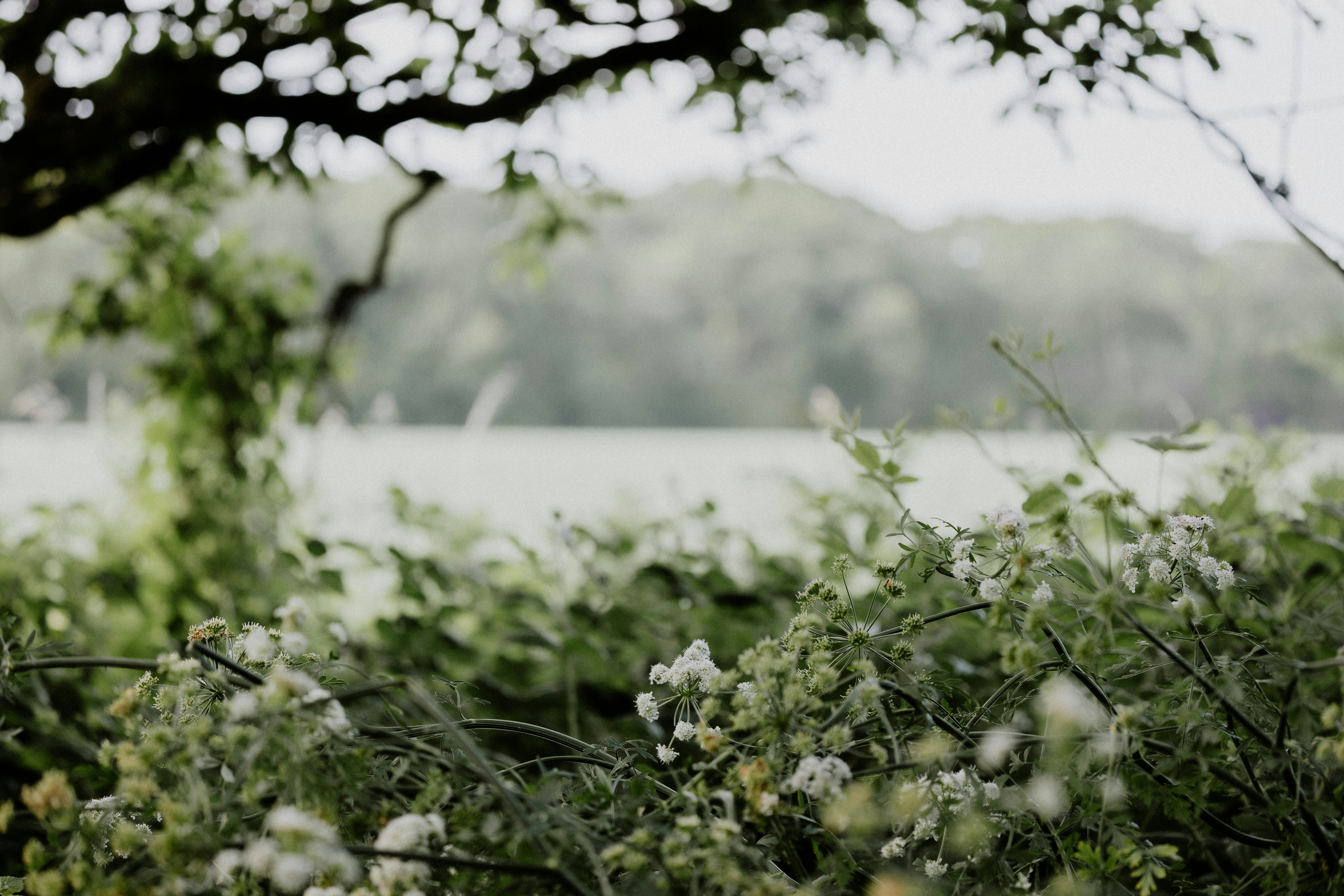 Photo by anniespratt