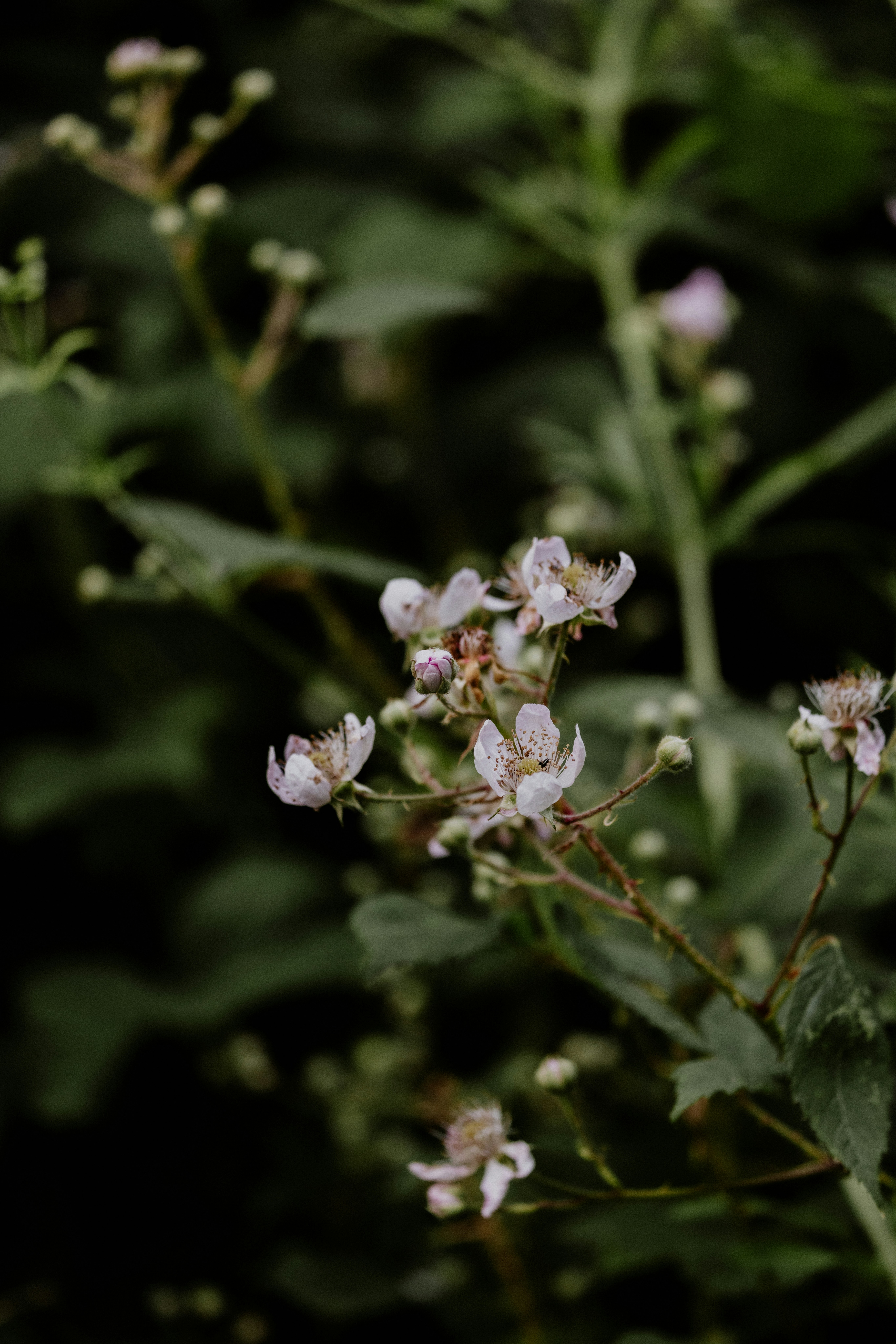 Photo by anniespratt