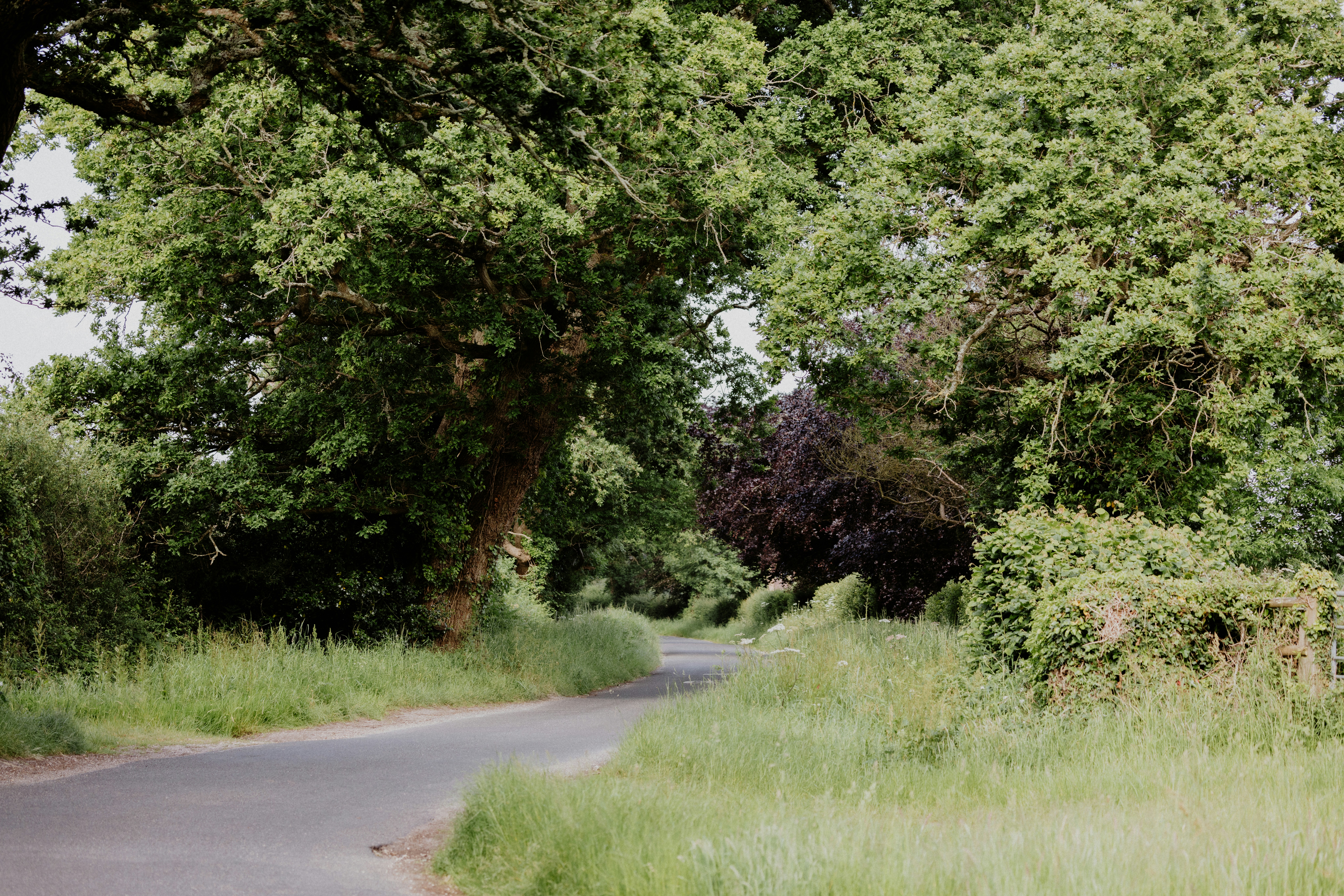 Photo by anniespratt