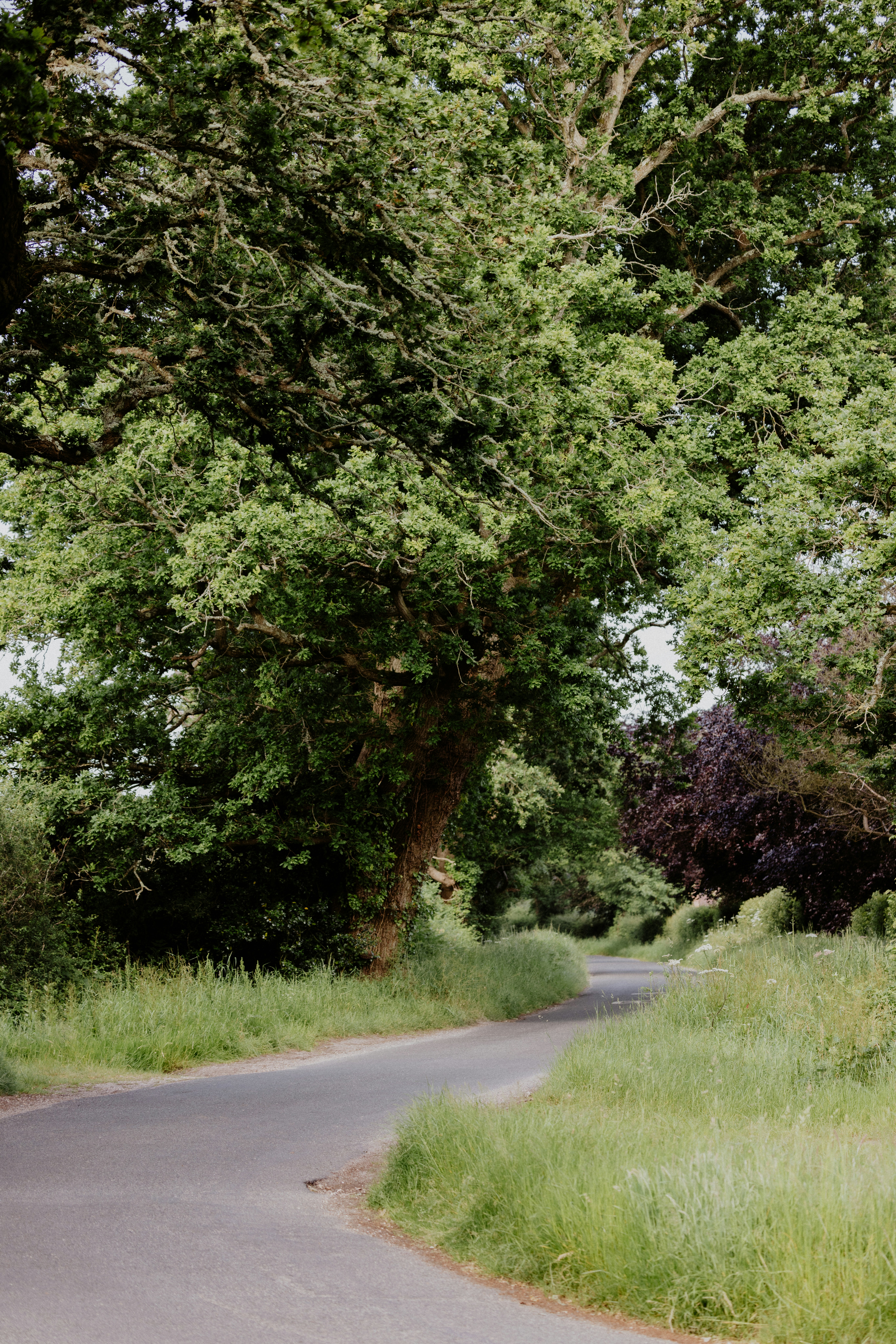 Photo by anniespratt