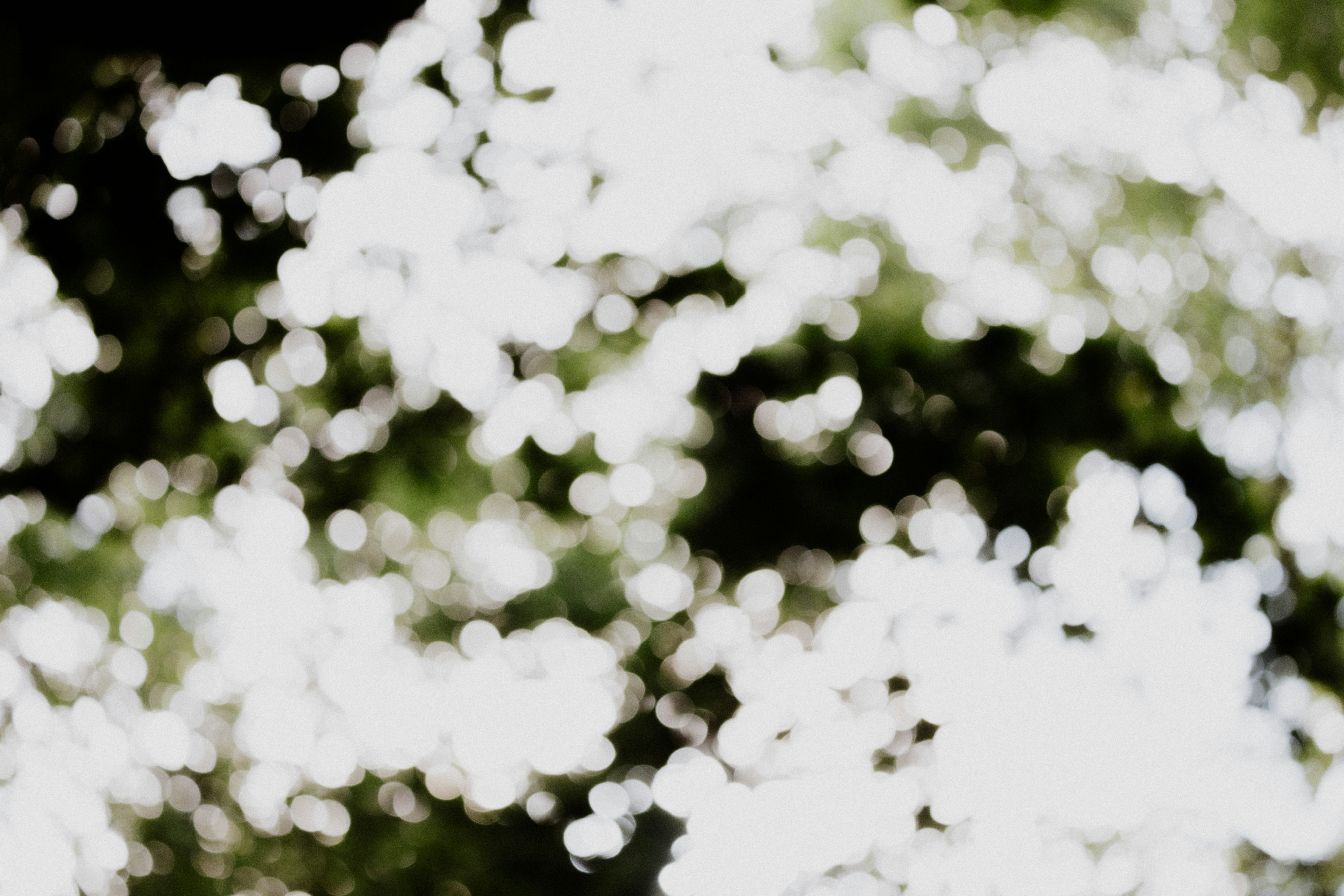 Photo by anniespratt