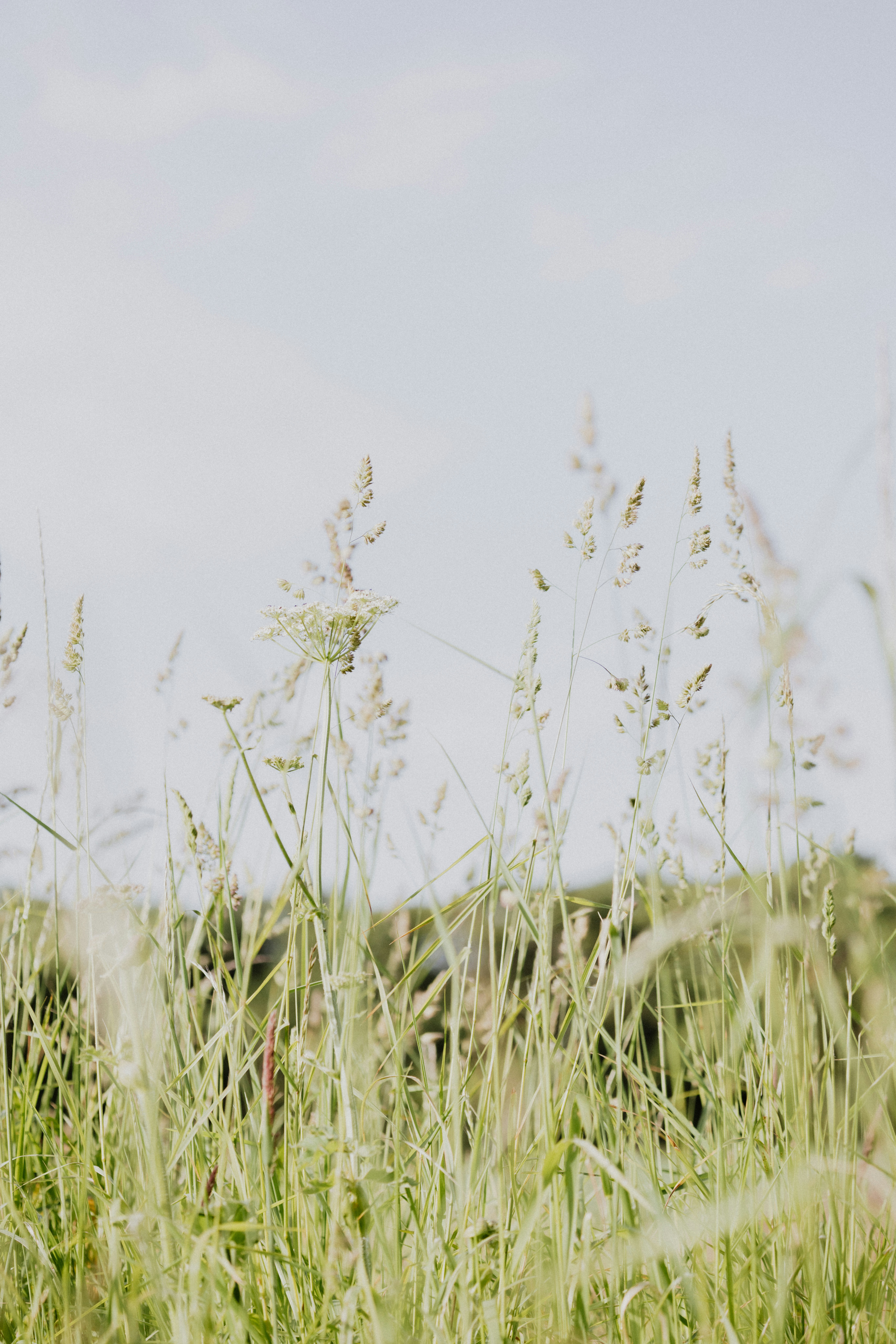 Photo by anniespratt