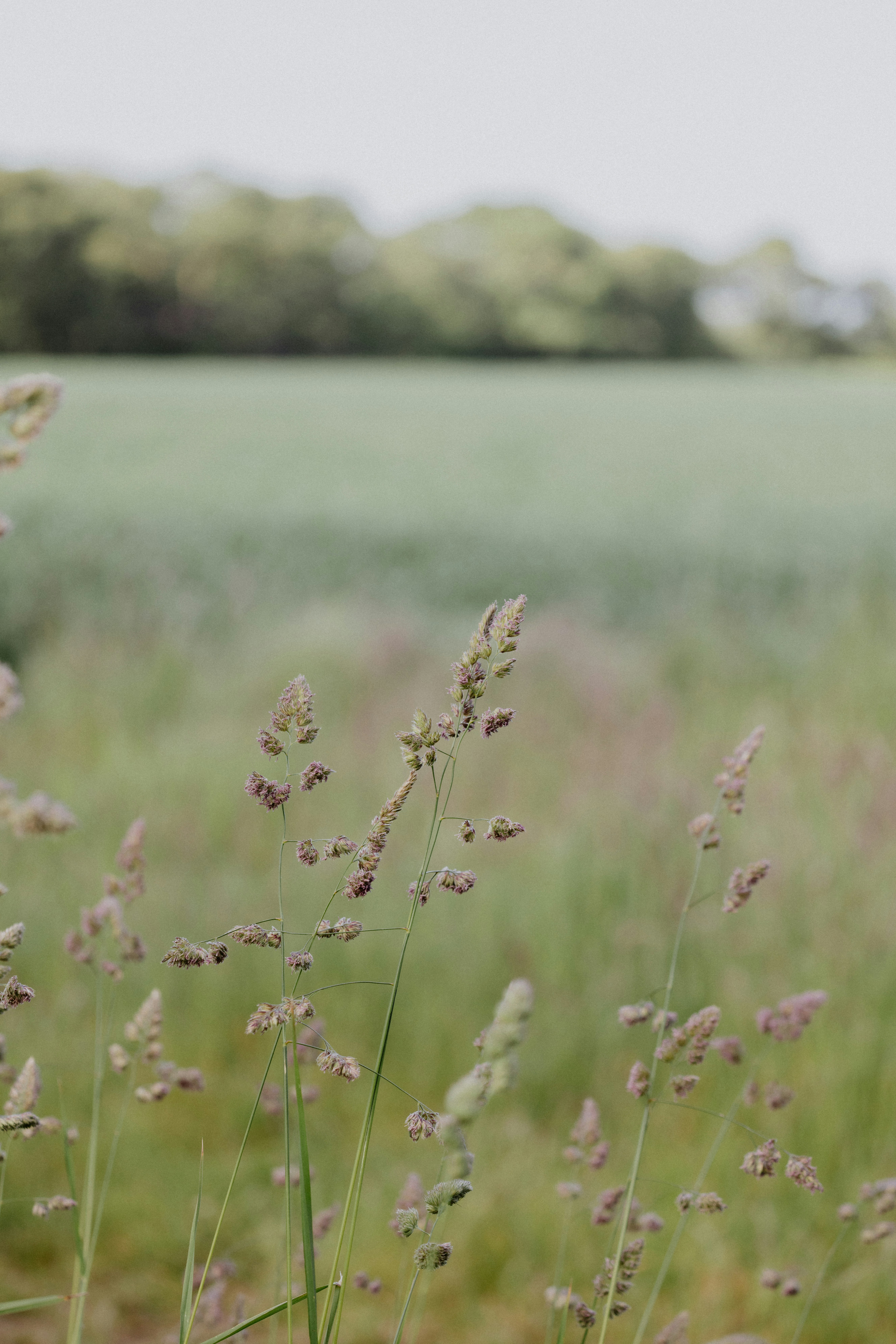 Photo by anniespratt