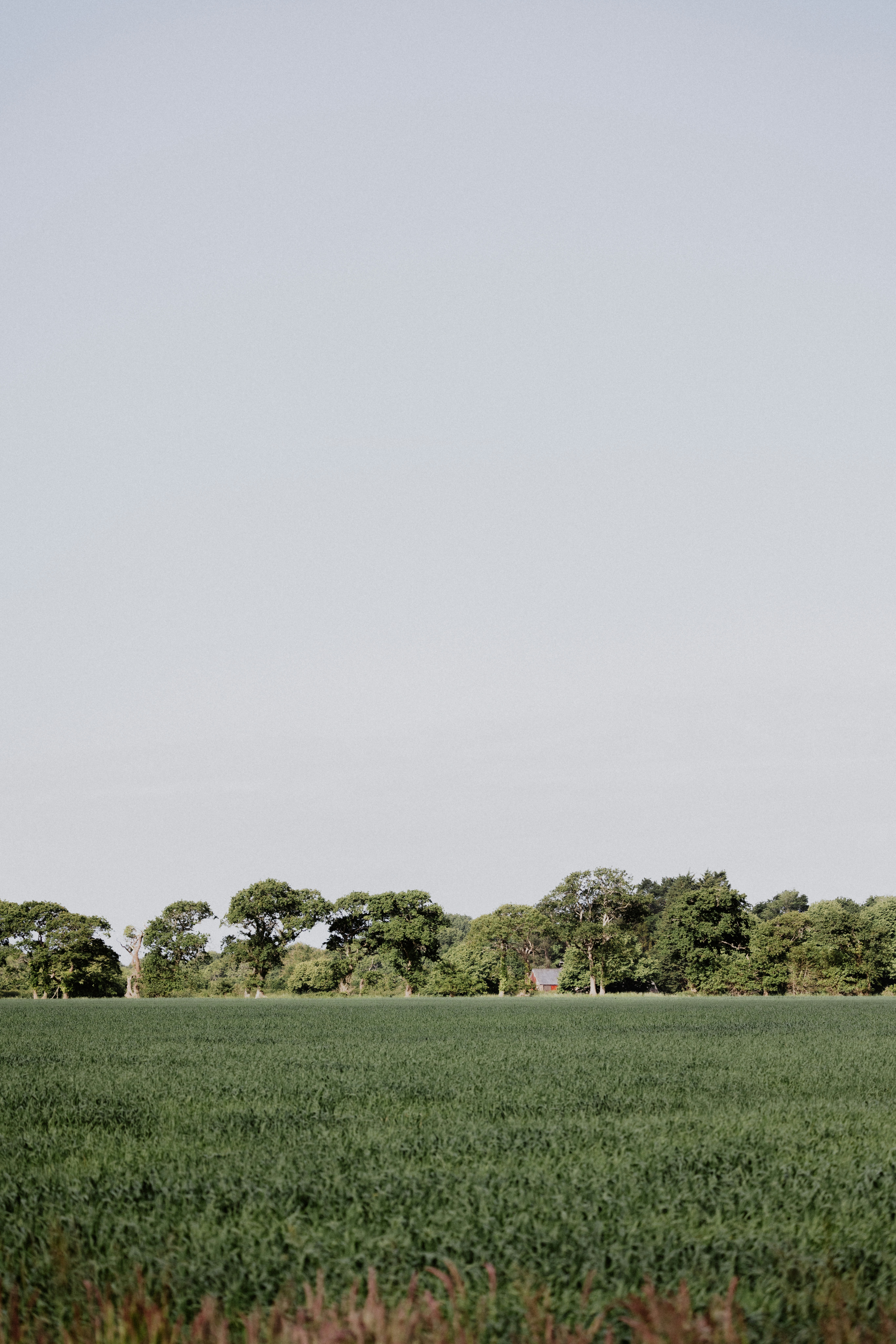 Photo by anniespratt