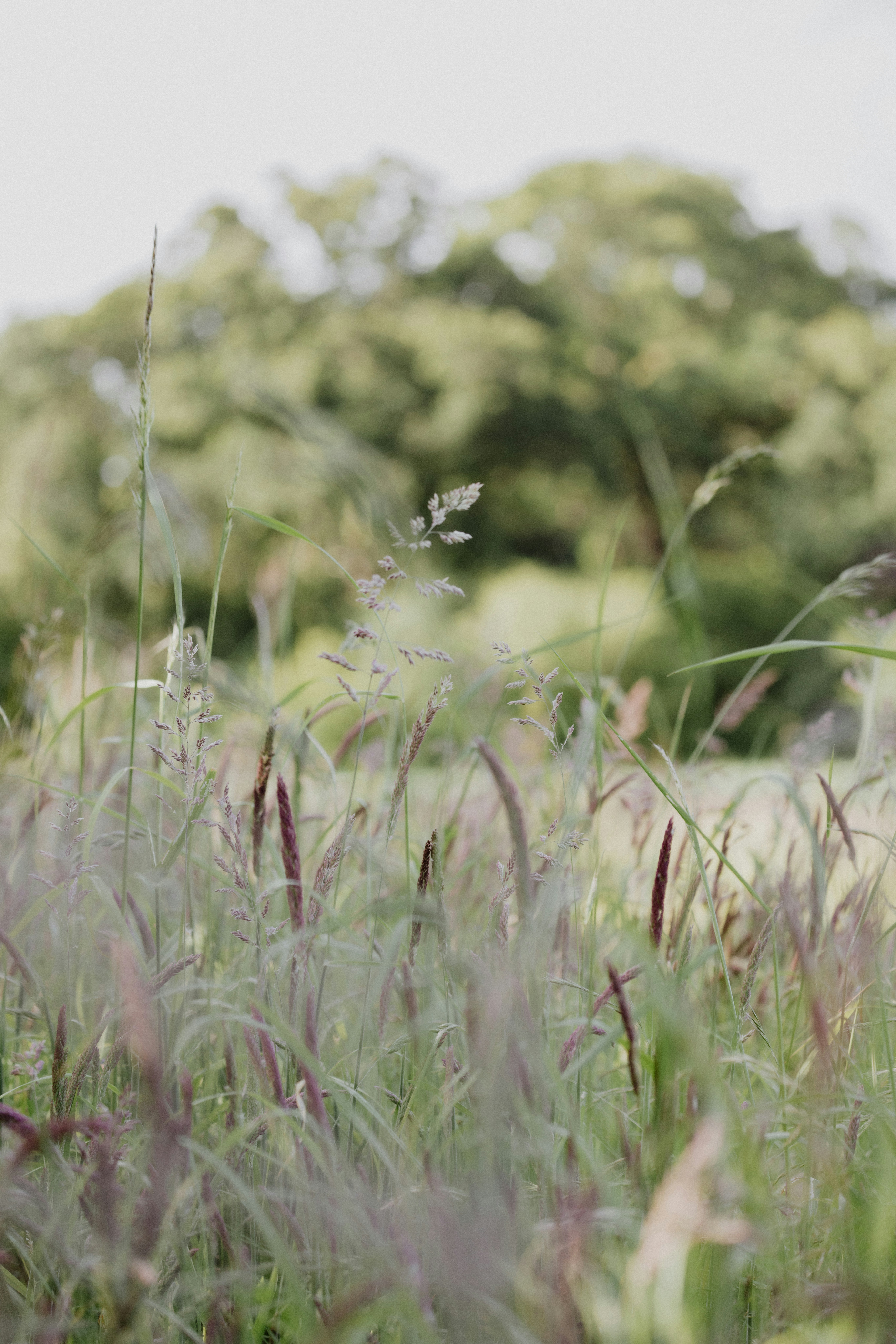 Photo by anniespratt