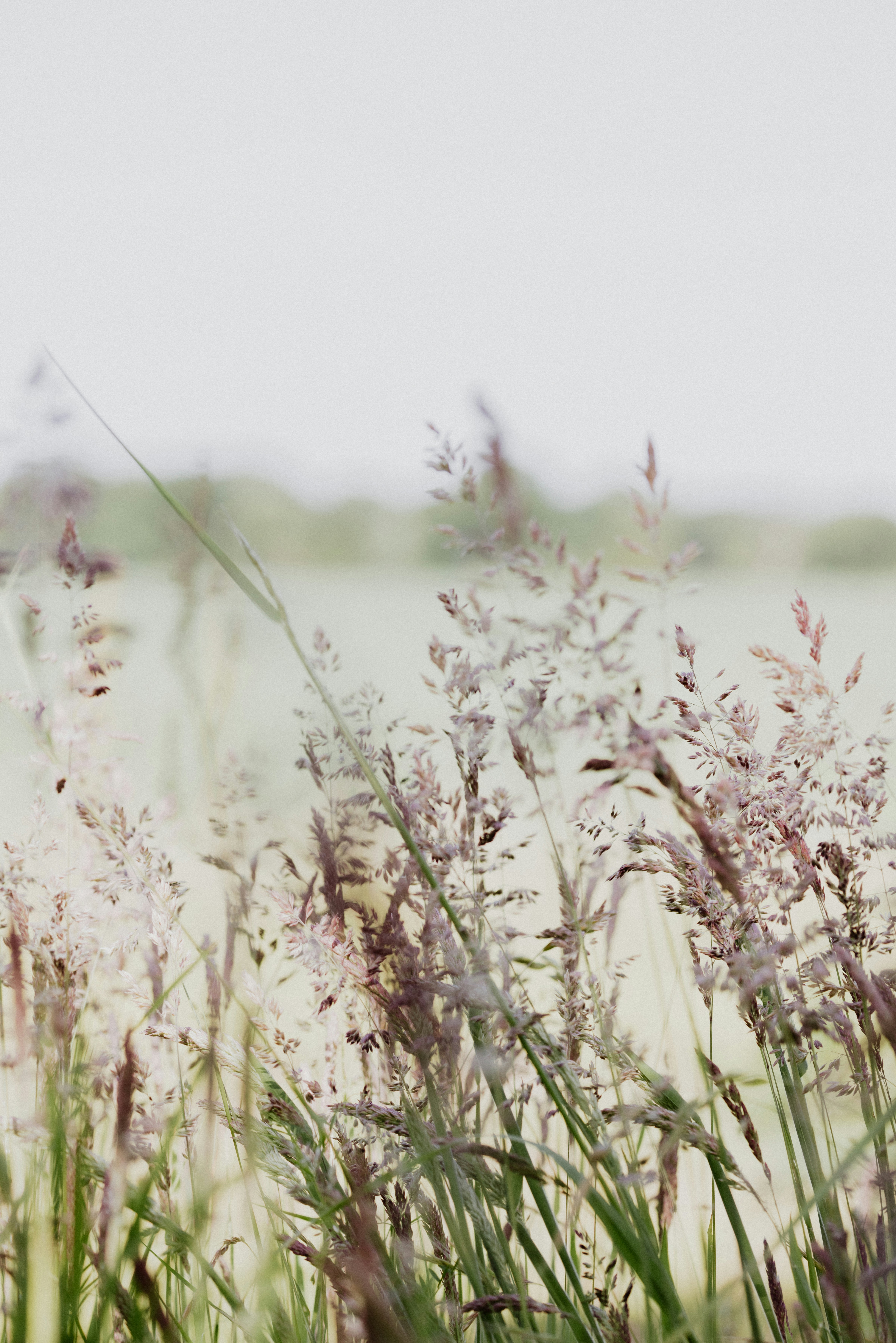 Photo by anniespratt