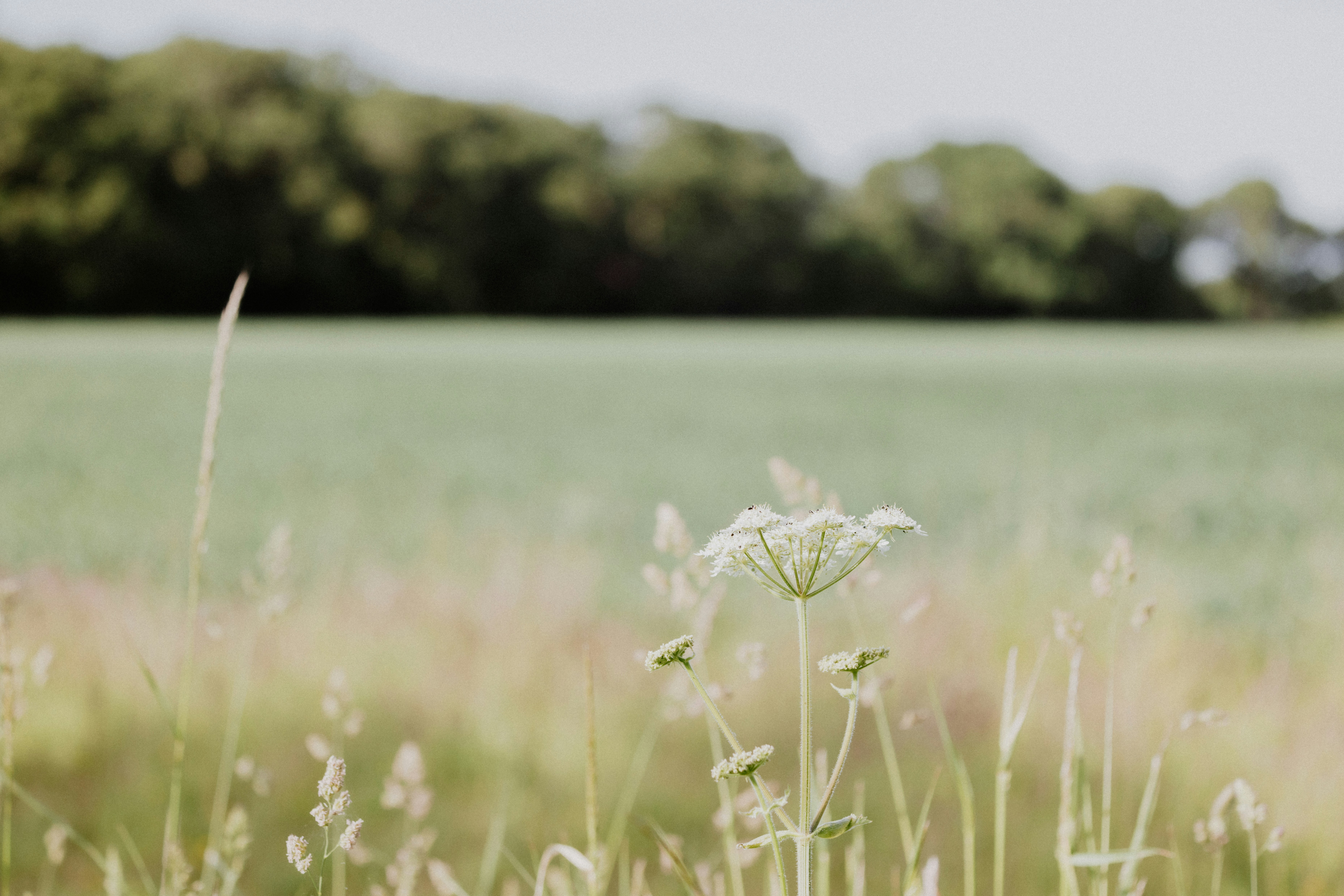 Photo by anniespratt