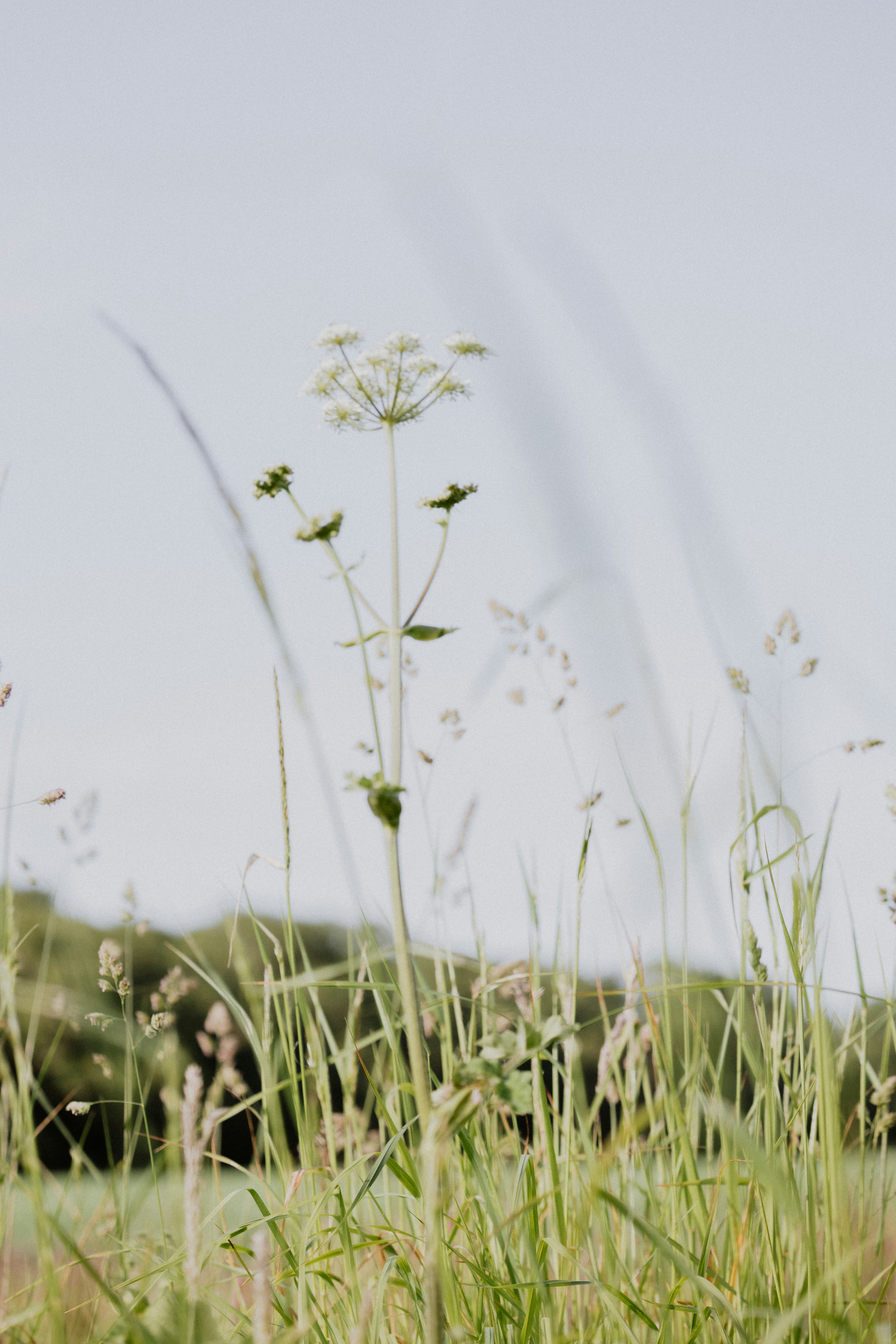 Photo by anniespratt