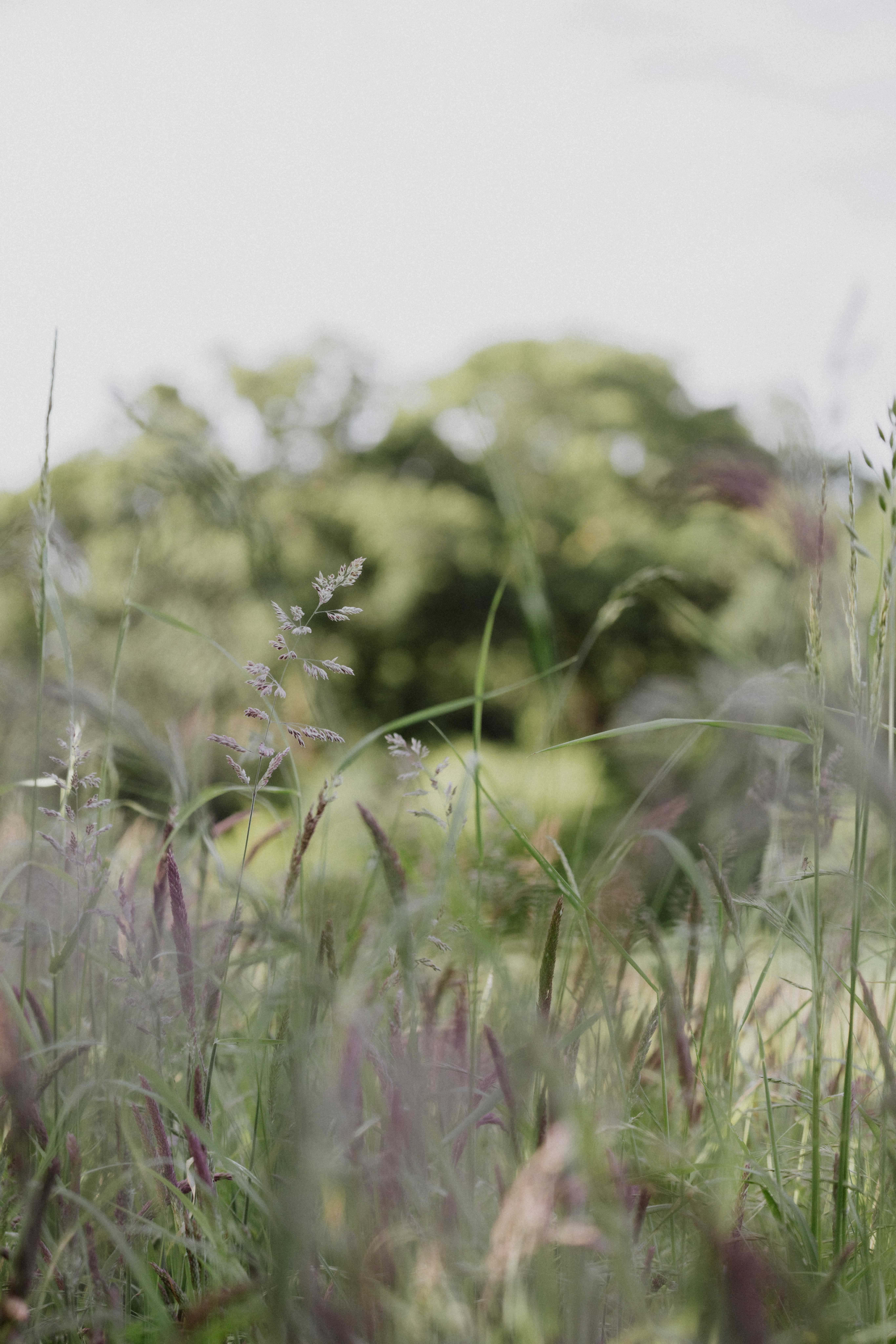 Photo by anniespratt