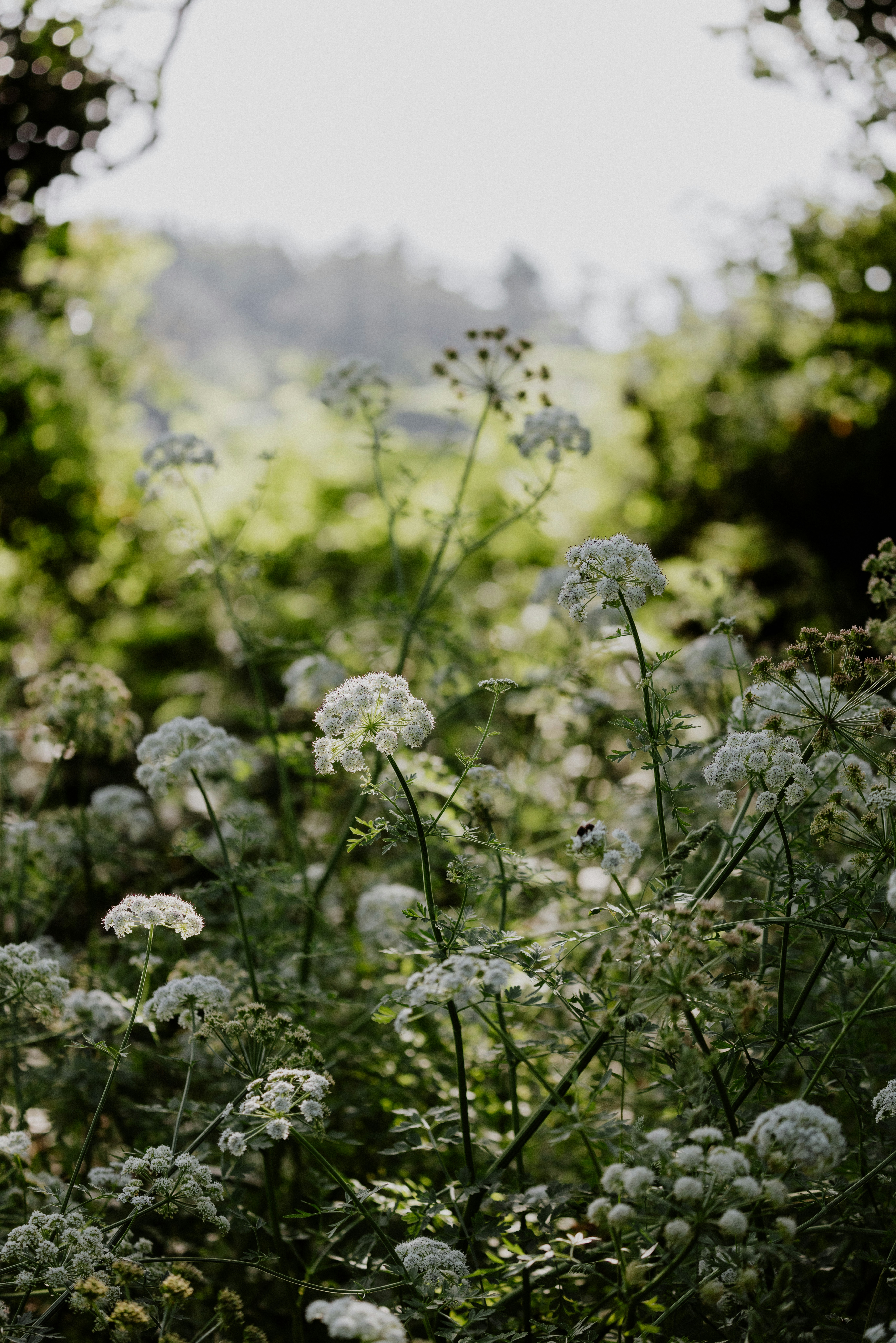 Photo by anniespratt