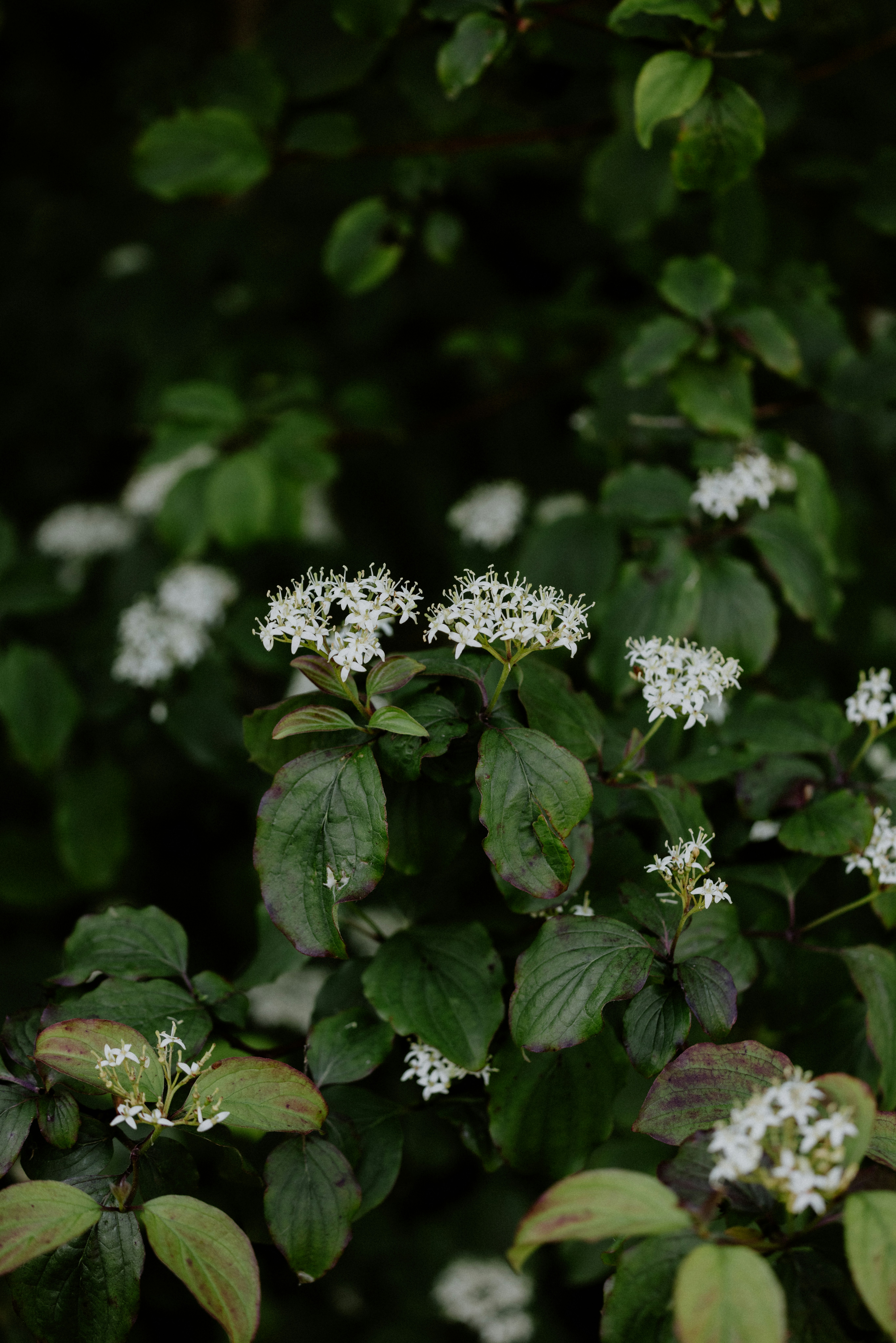 Photo by anniespratt