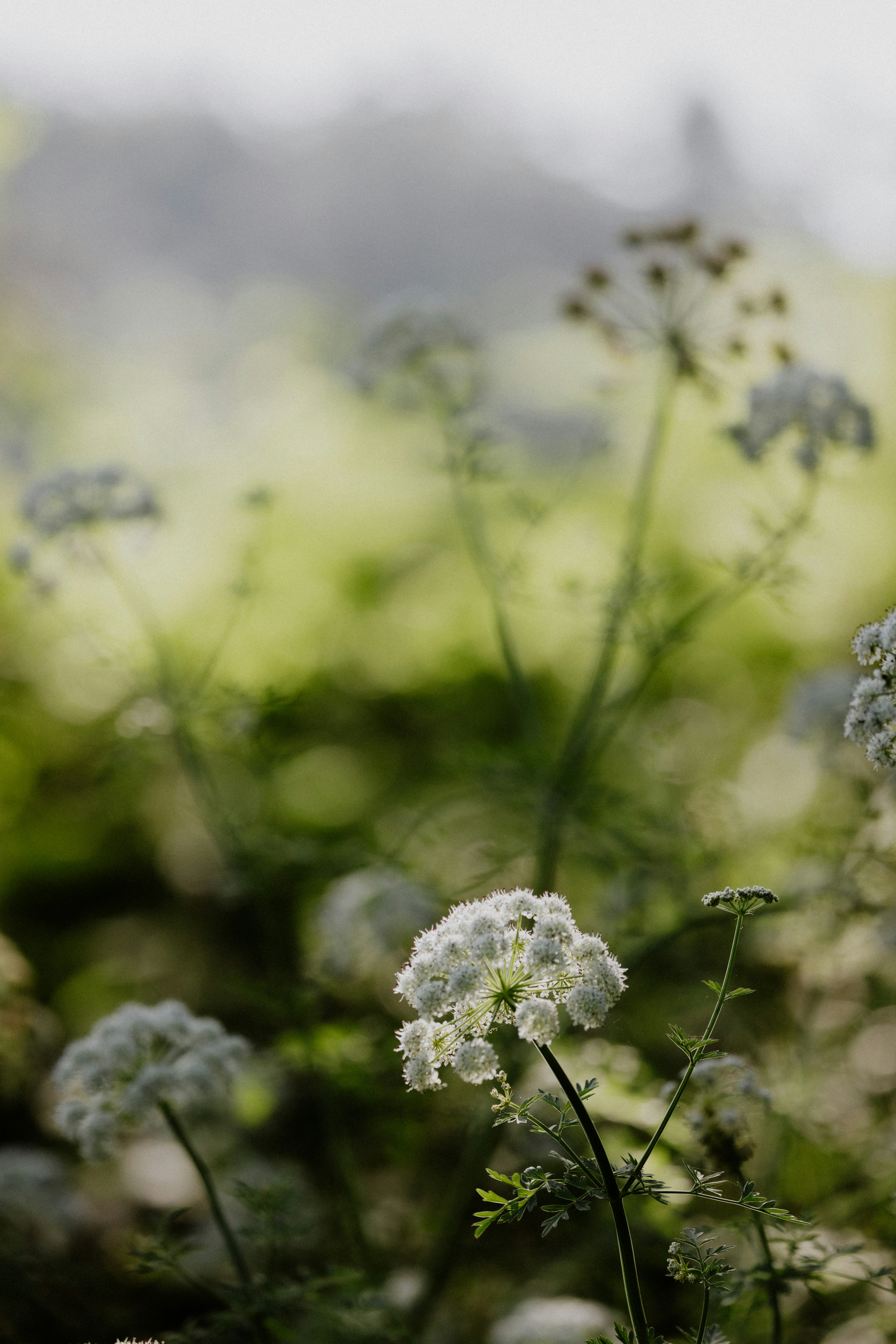 Photo by anniespratt