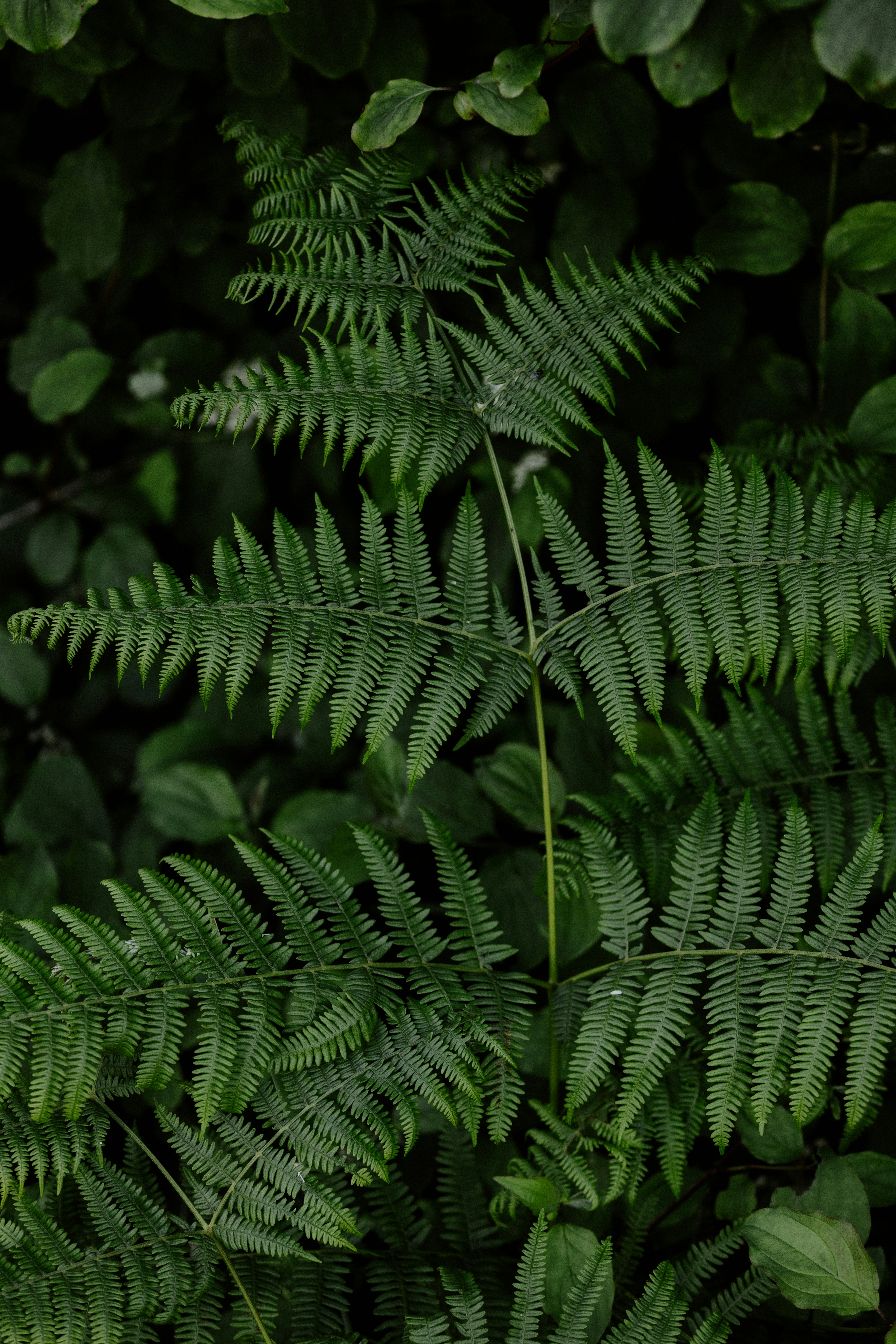 Photo by anniespratt