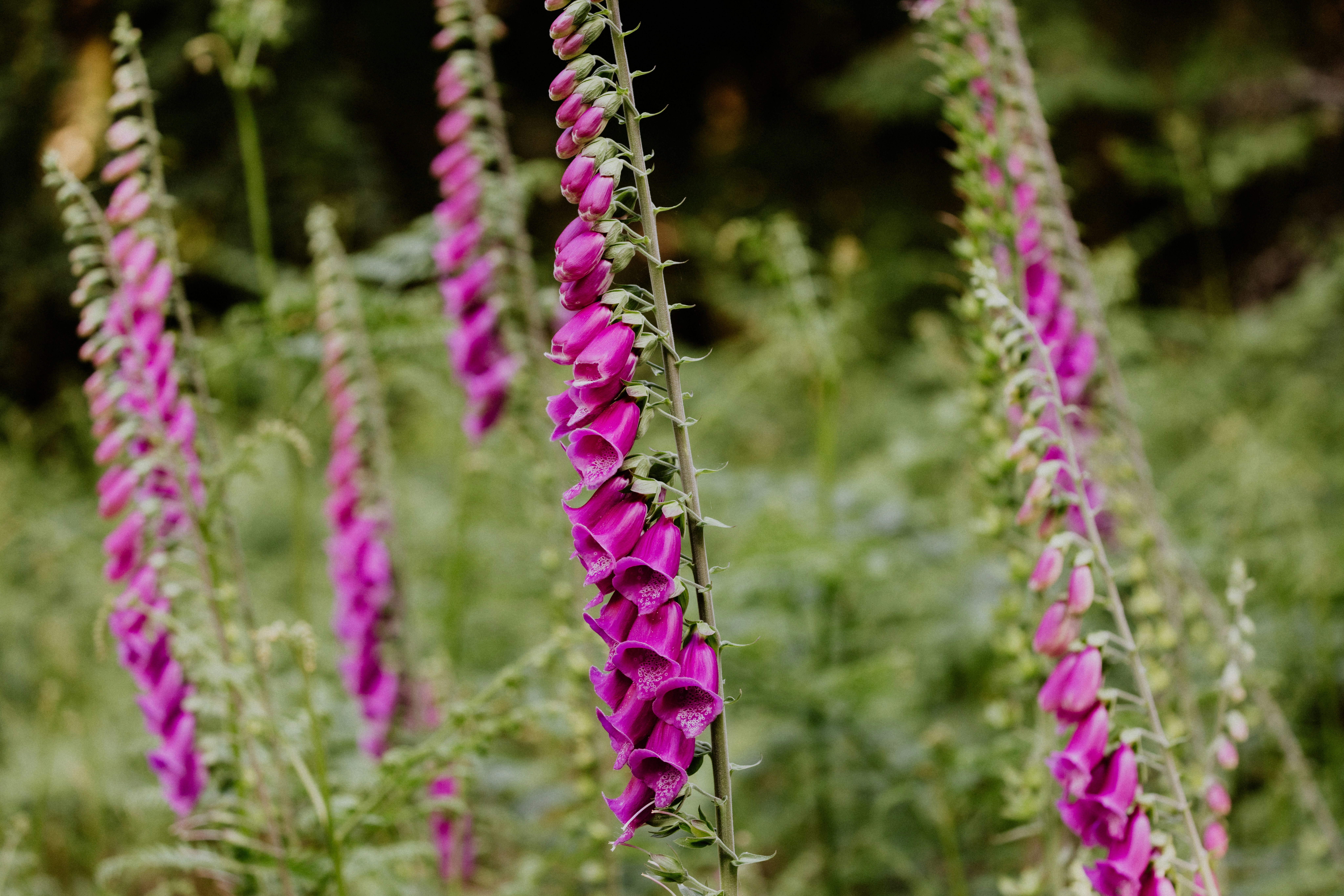 Photo by anniespratt