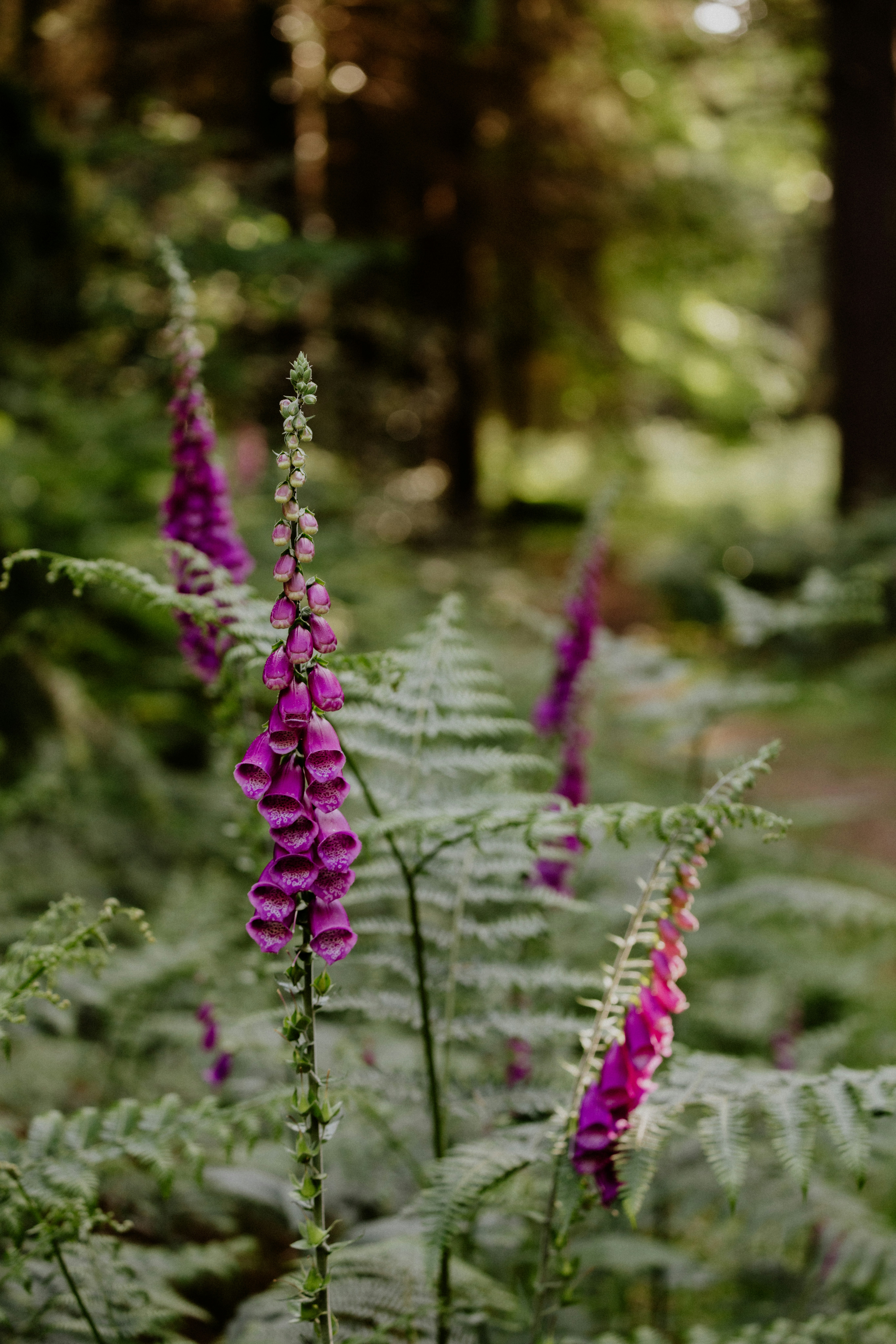 Photo by anniespratt