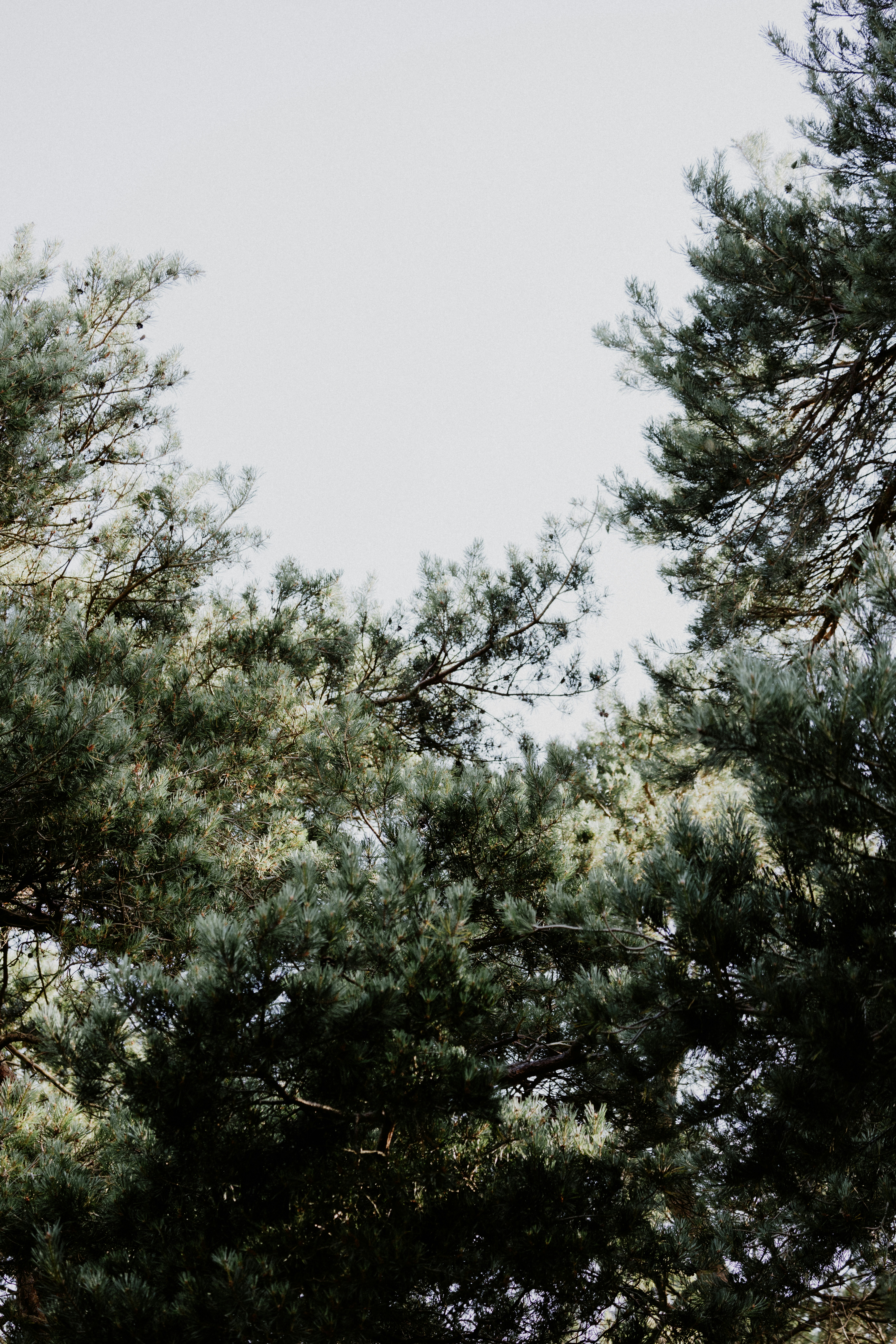 Photo by anniespratt