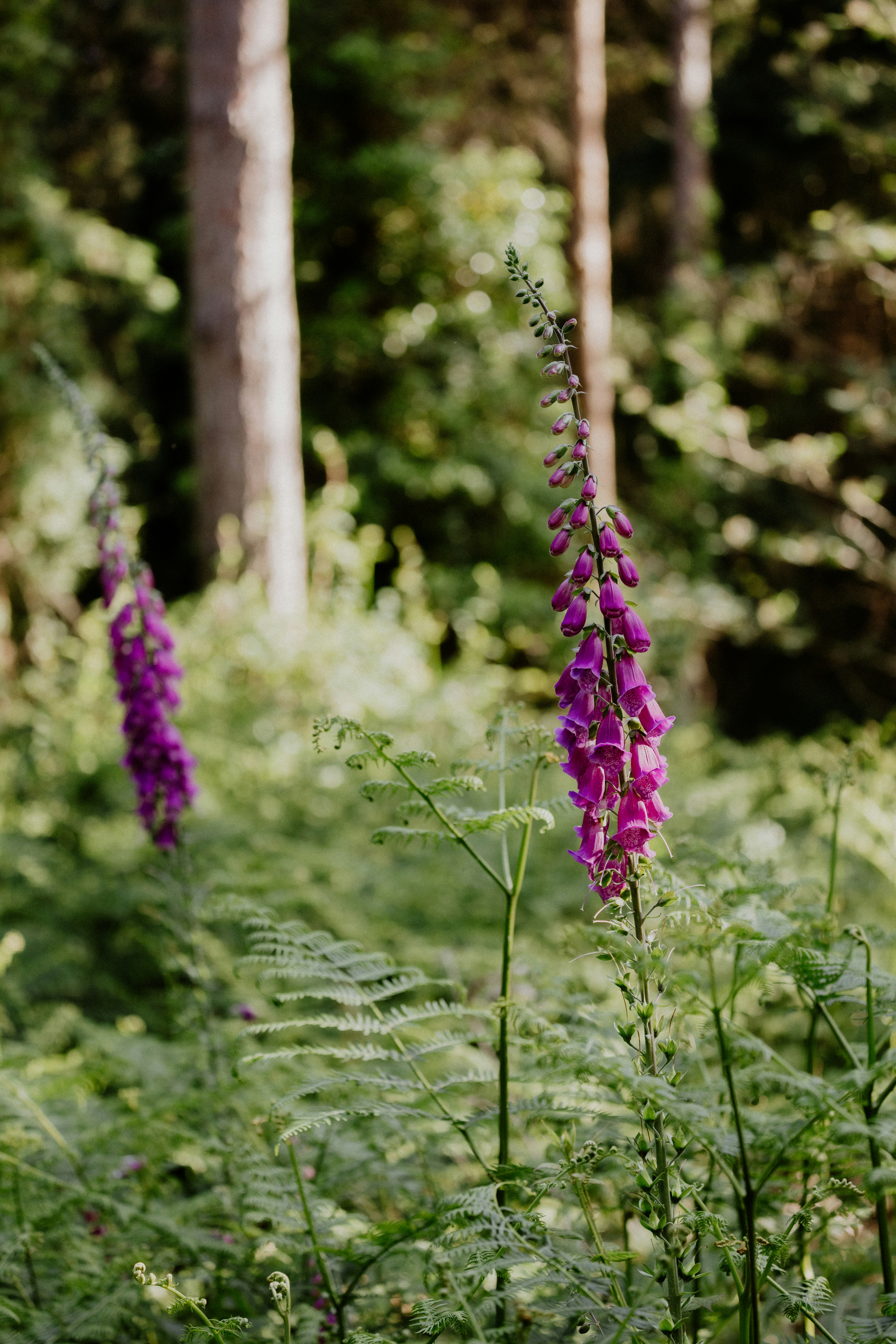 Photo by anniespratt