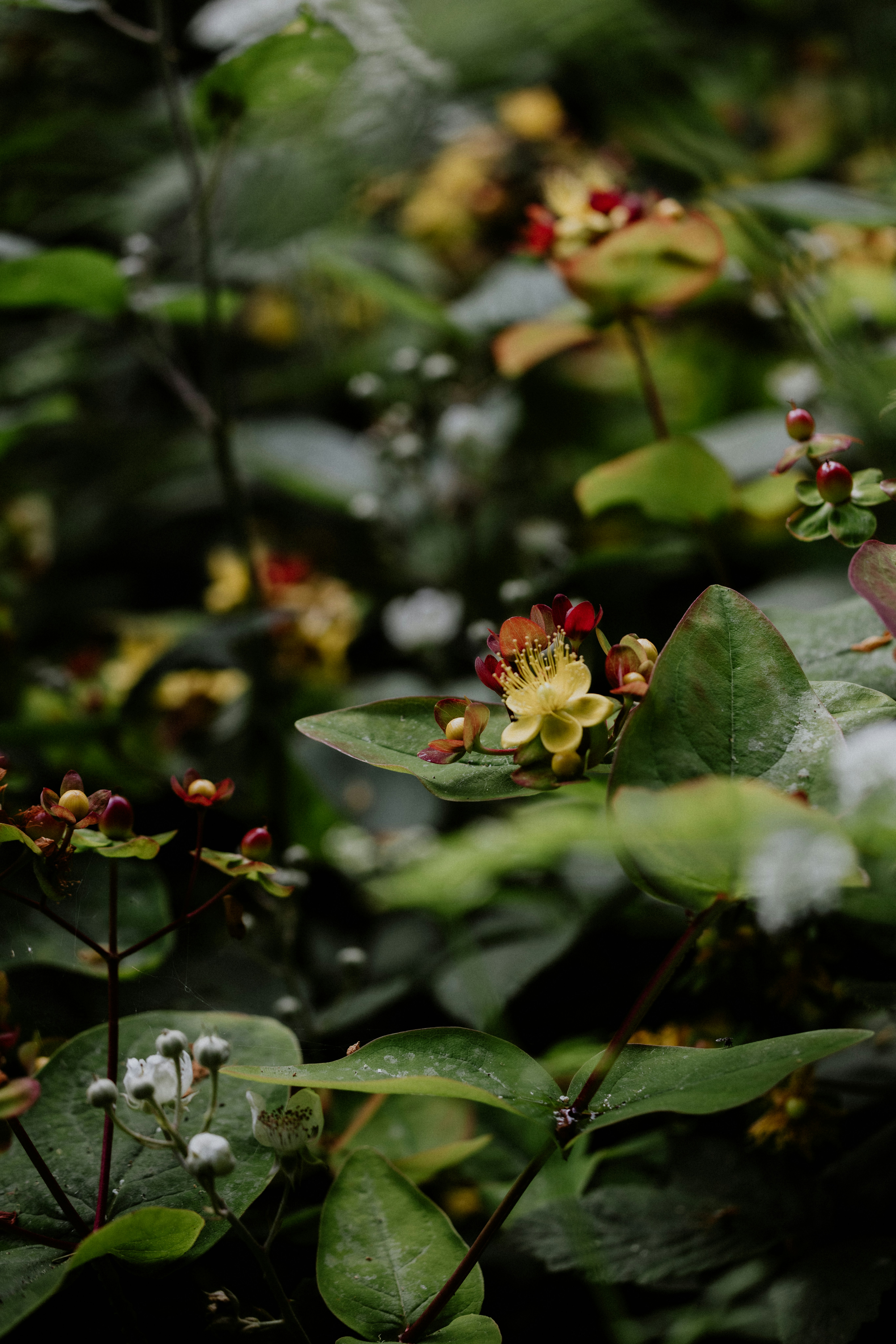 Photo by anniespratt