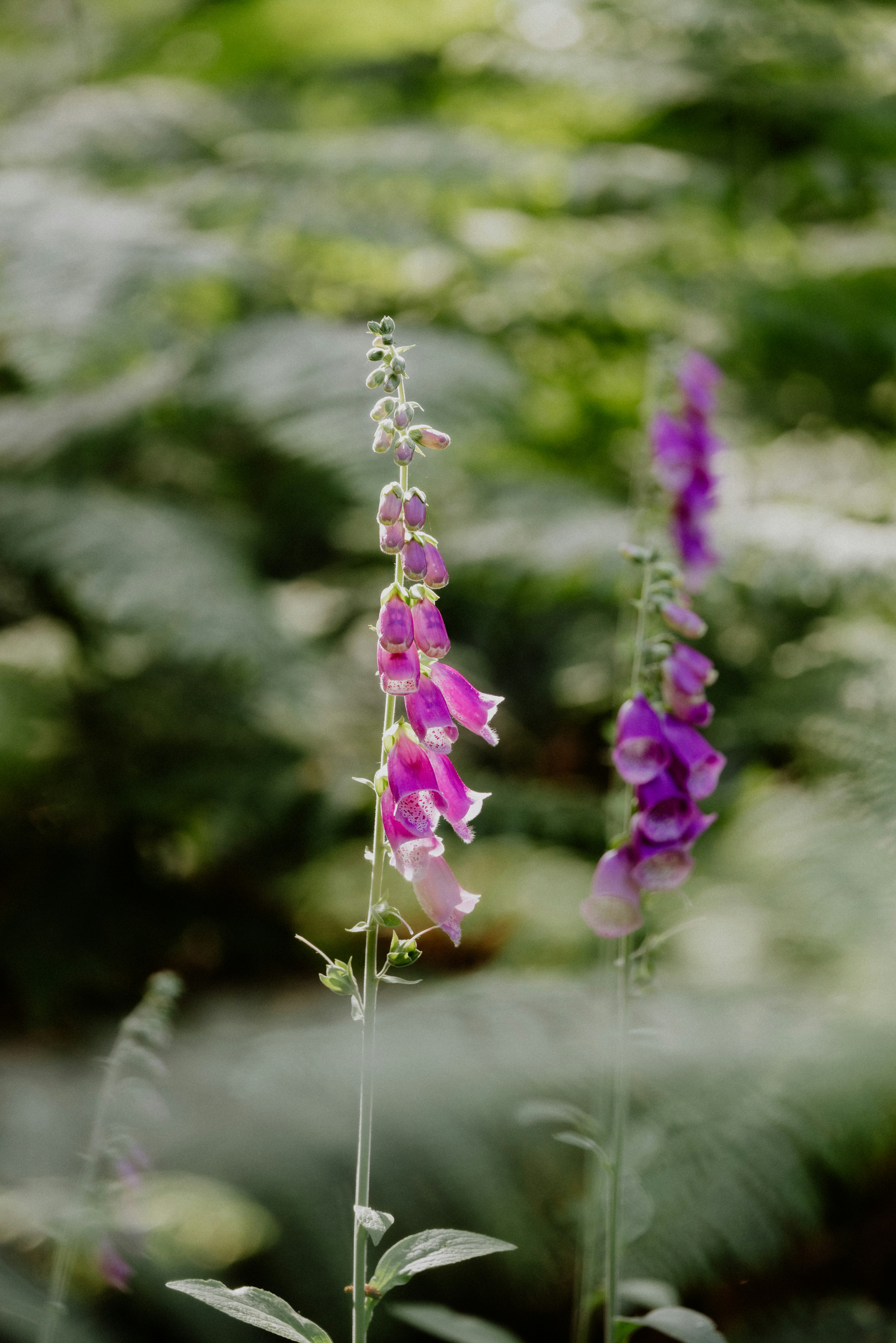 Photo by anniespratt