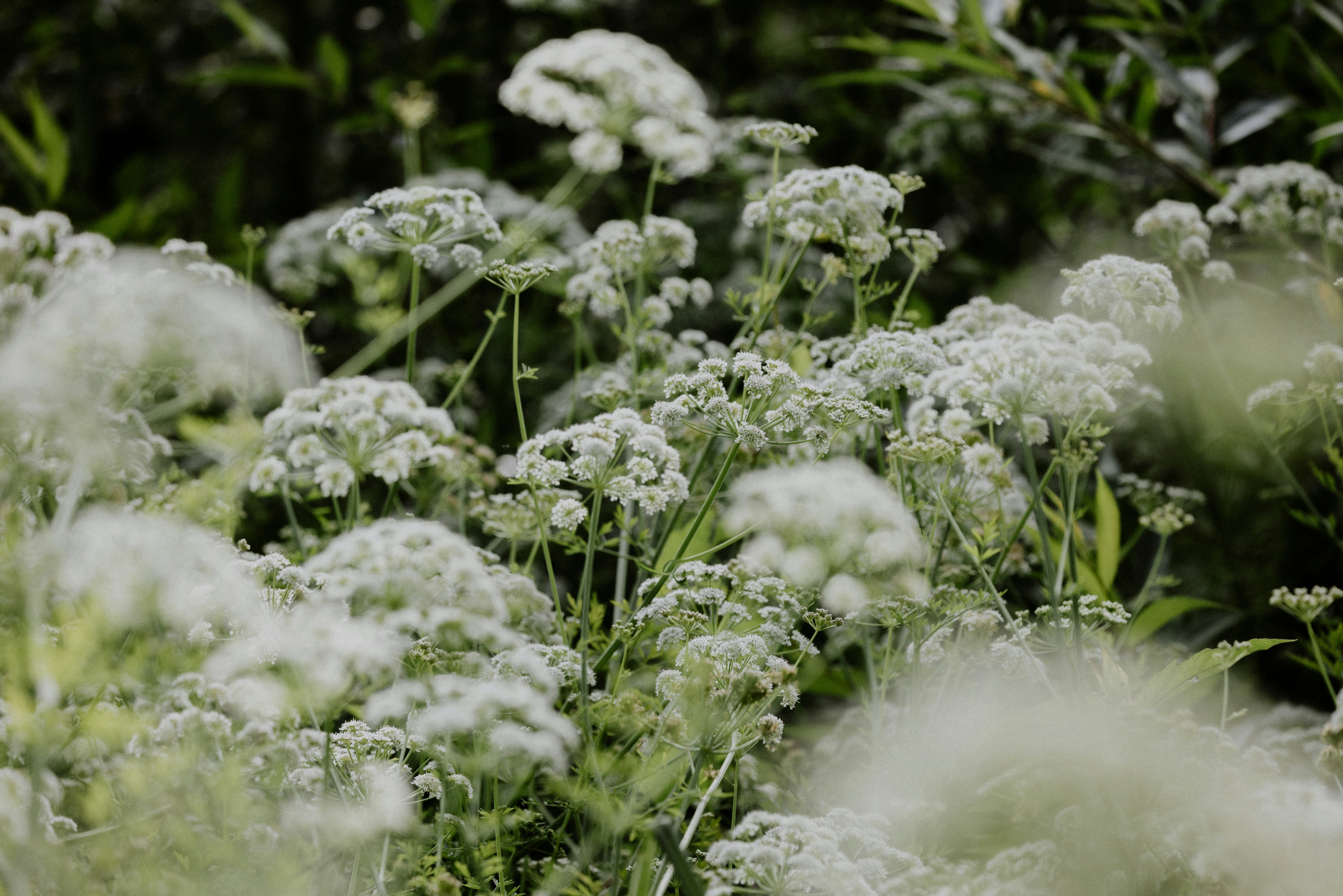 Photo by anniespratt