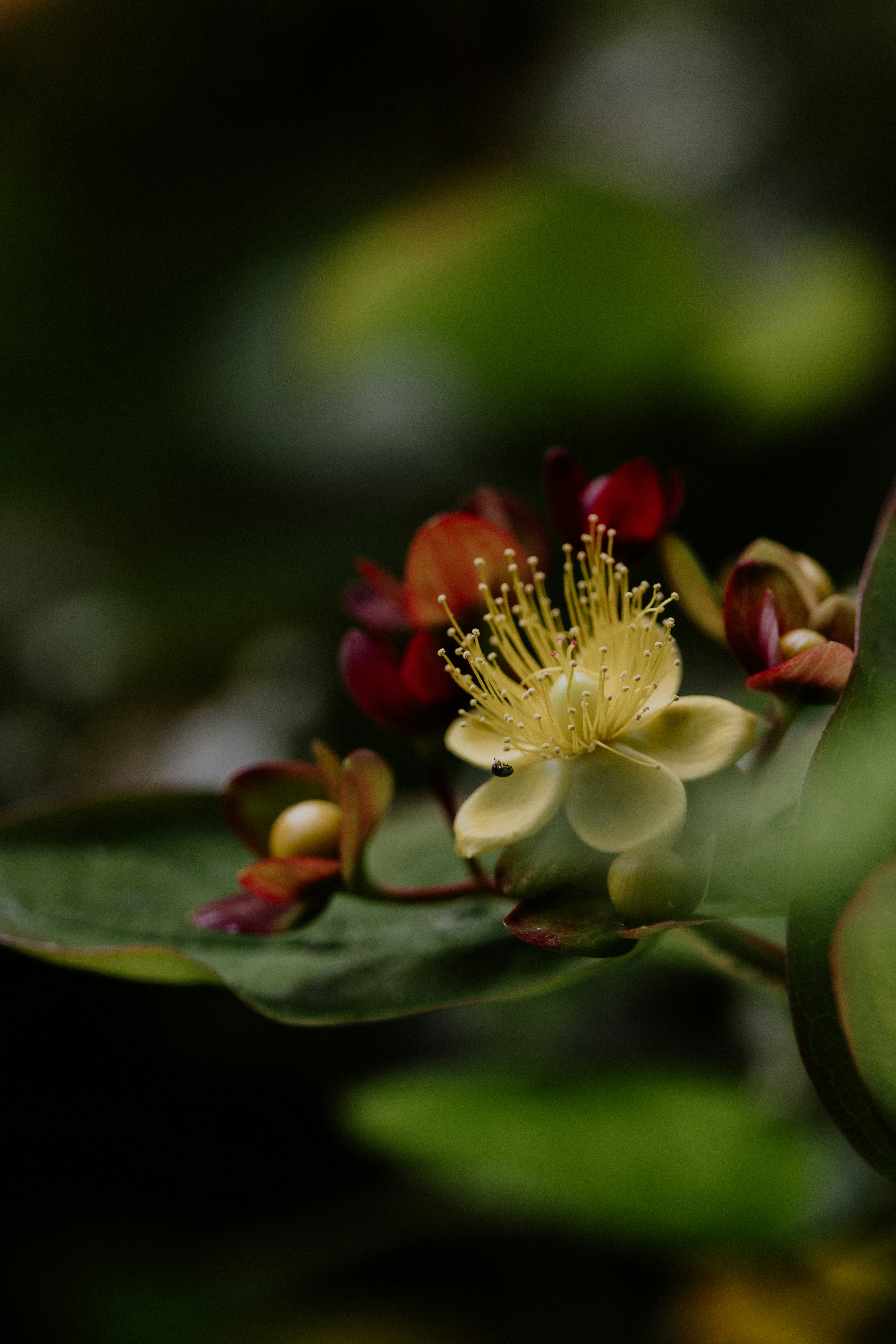 Photo by anniespratt