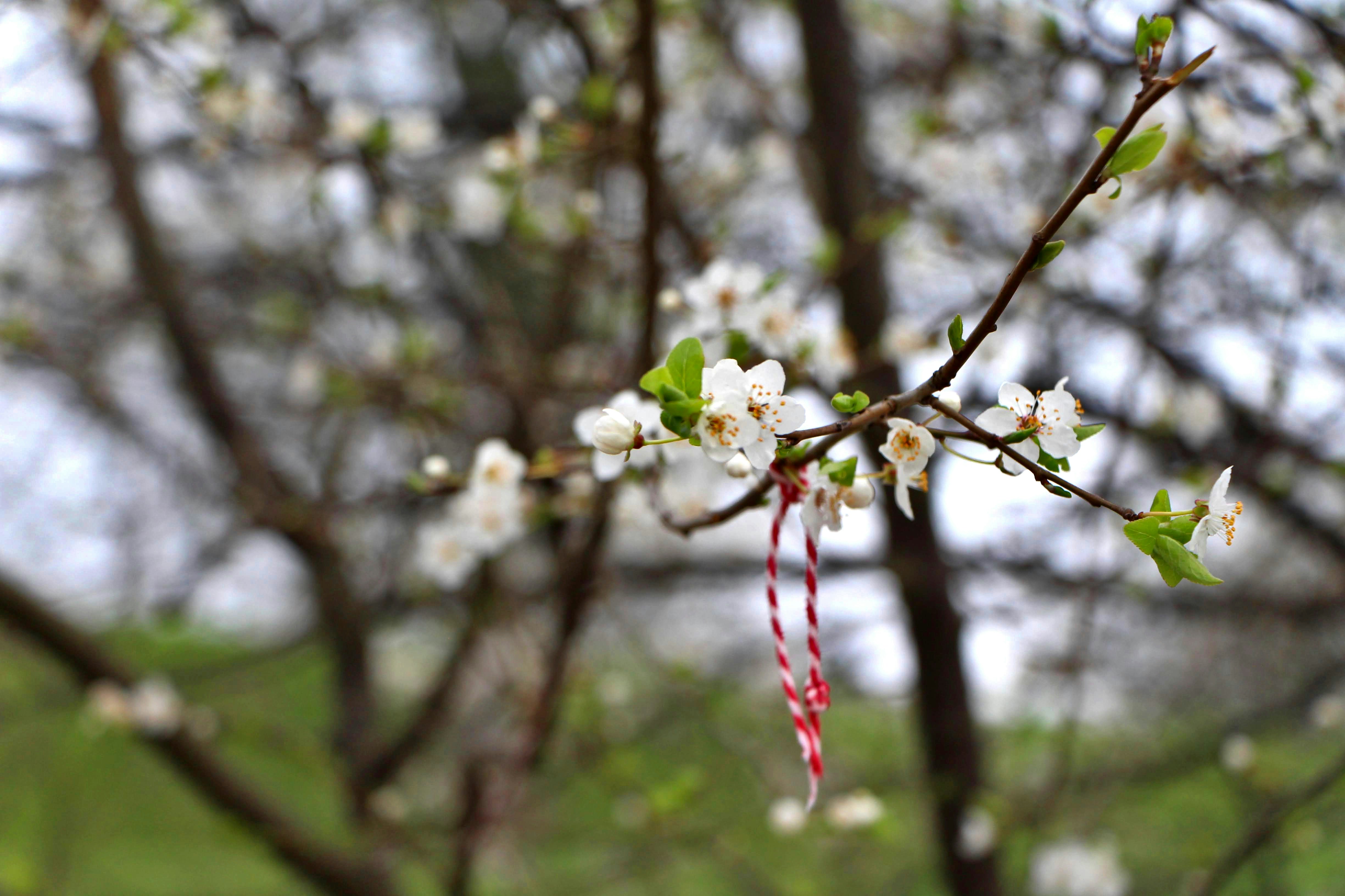 Photo by eleniafiontzi