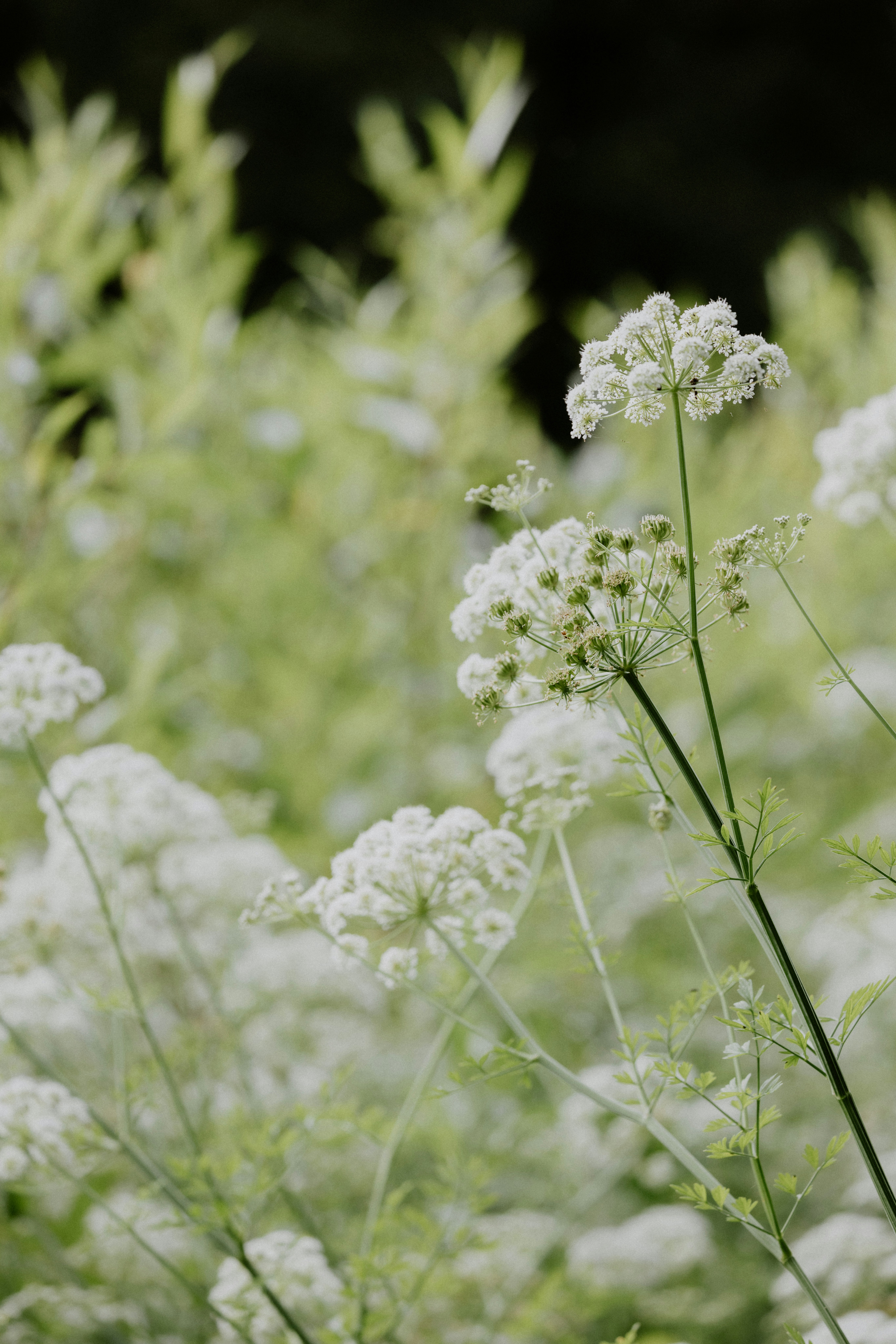 Photo by anniespratt