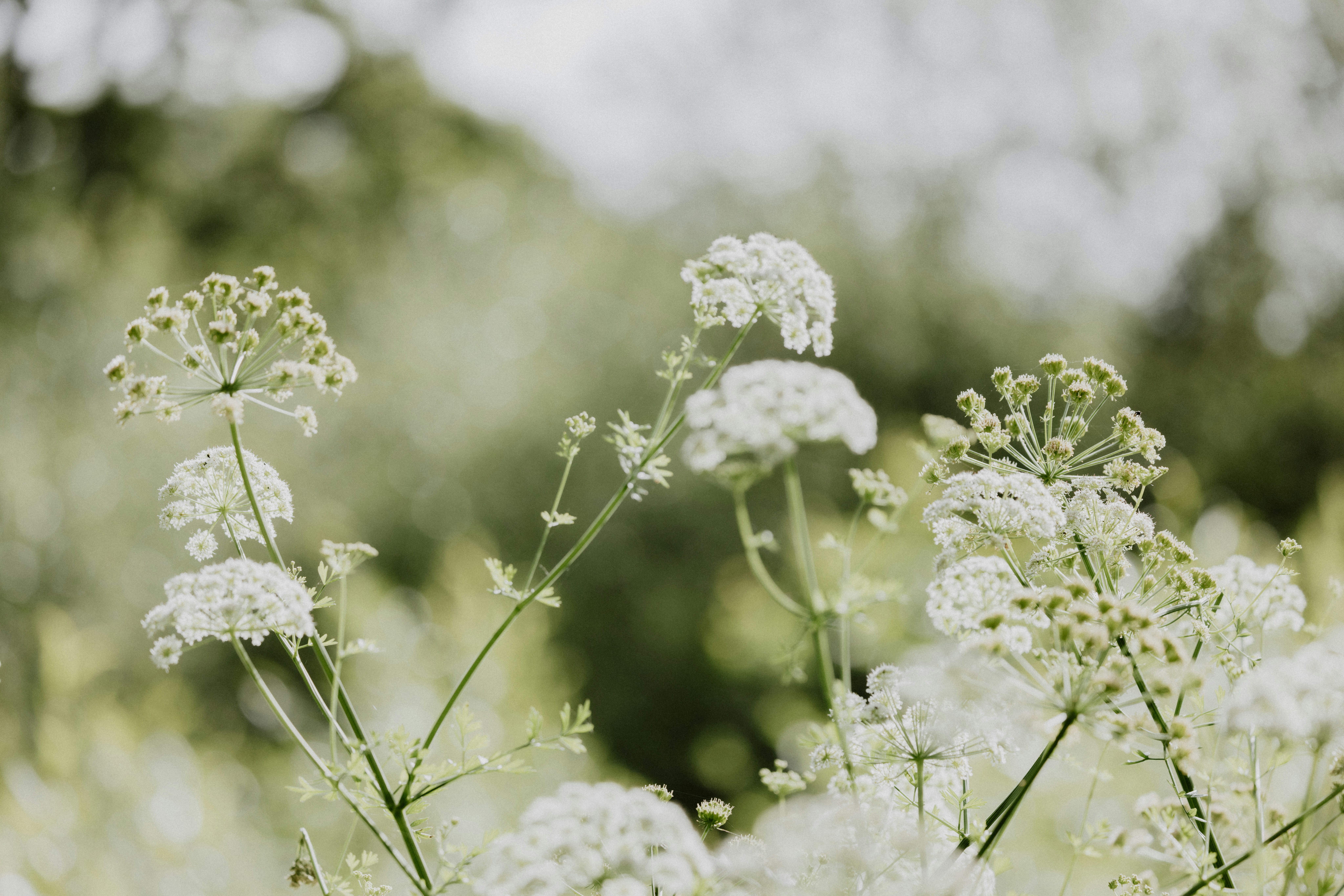 Photo by anniespratt