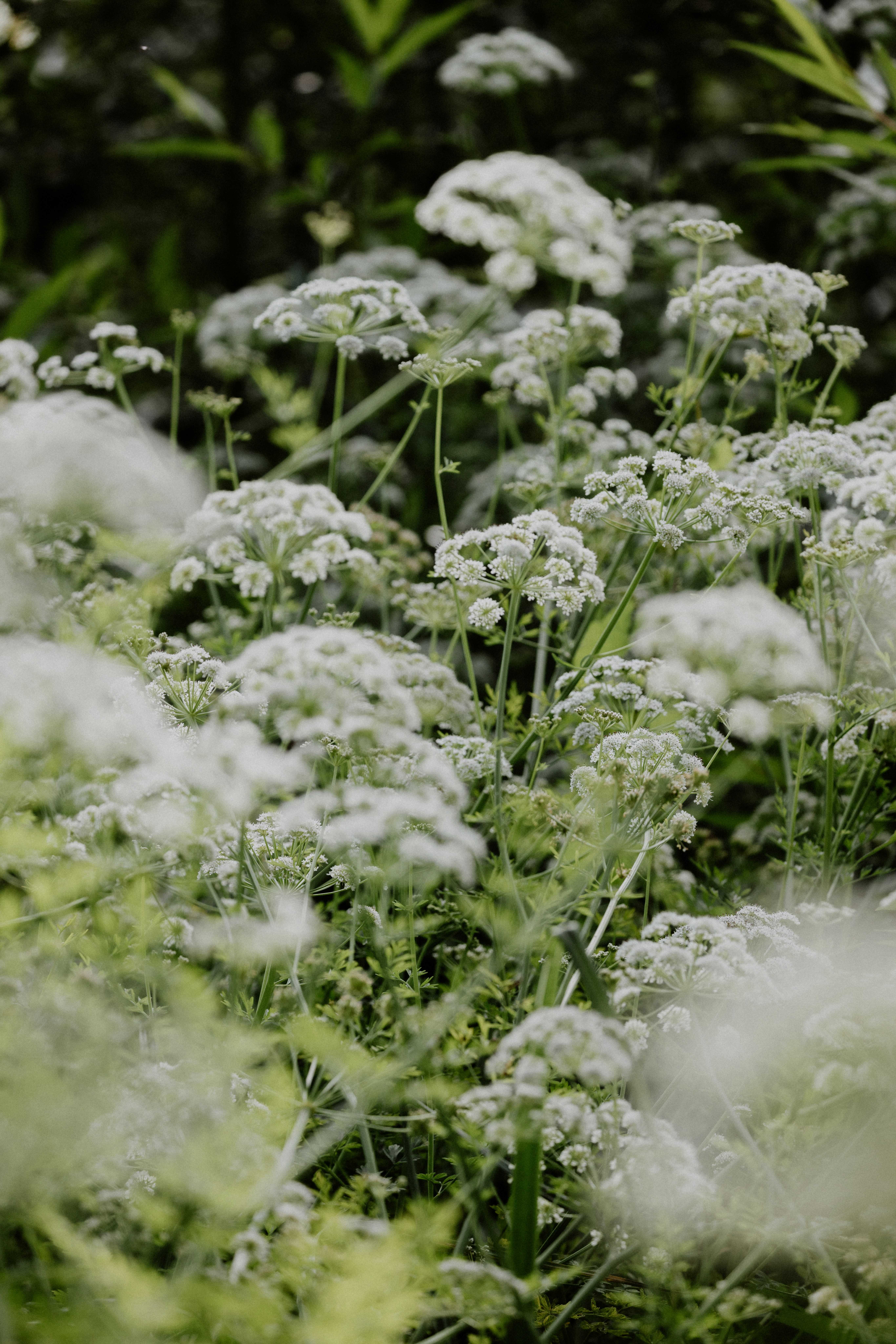 Photo by anniespratt