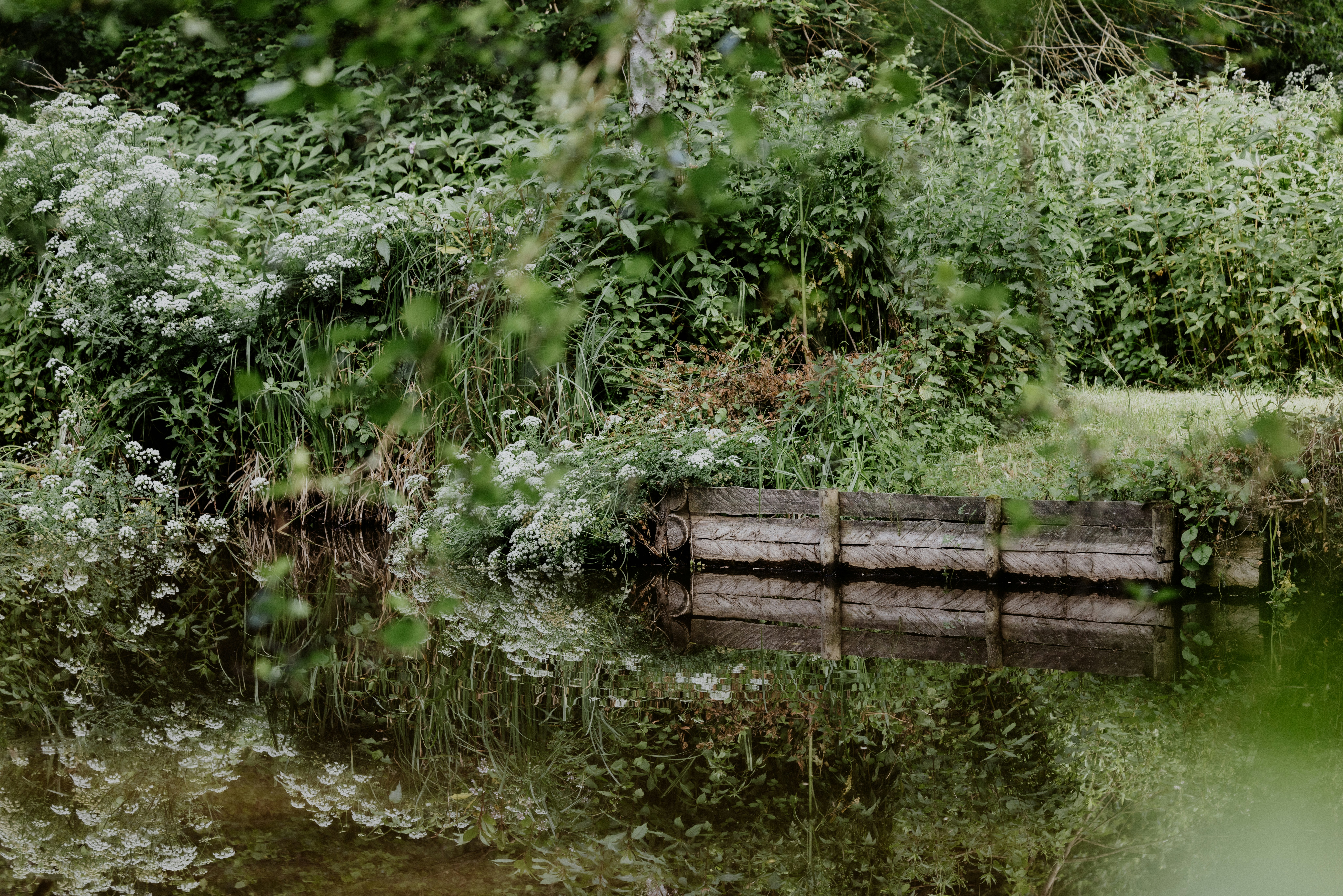 Photo by anniespratt