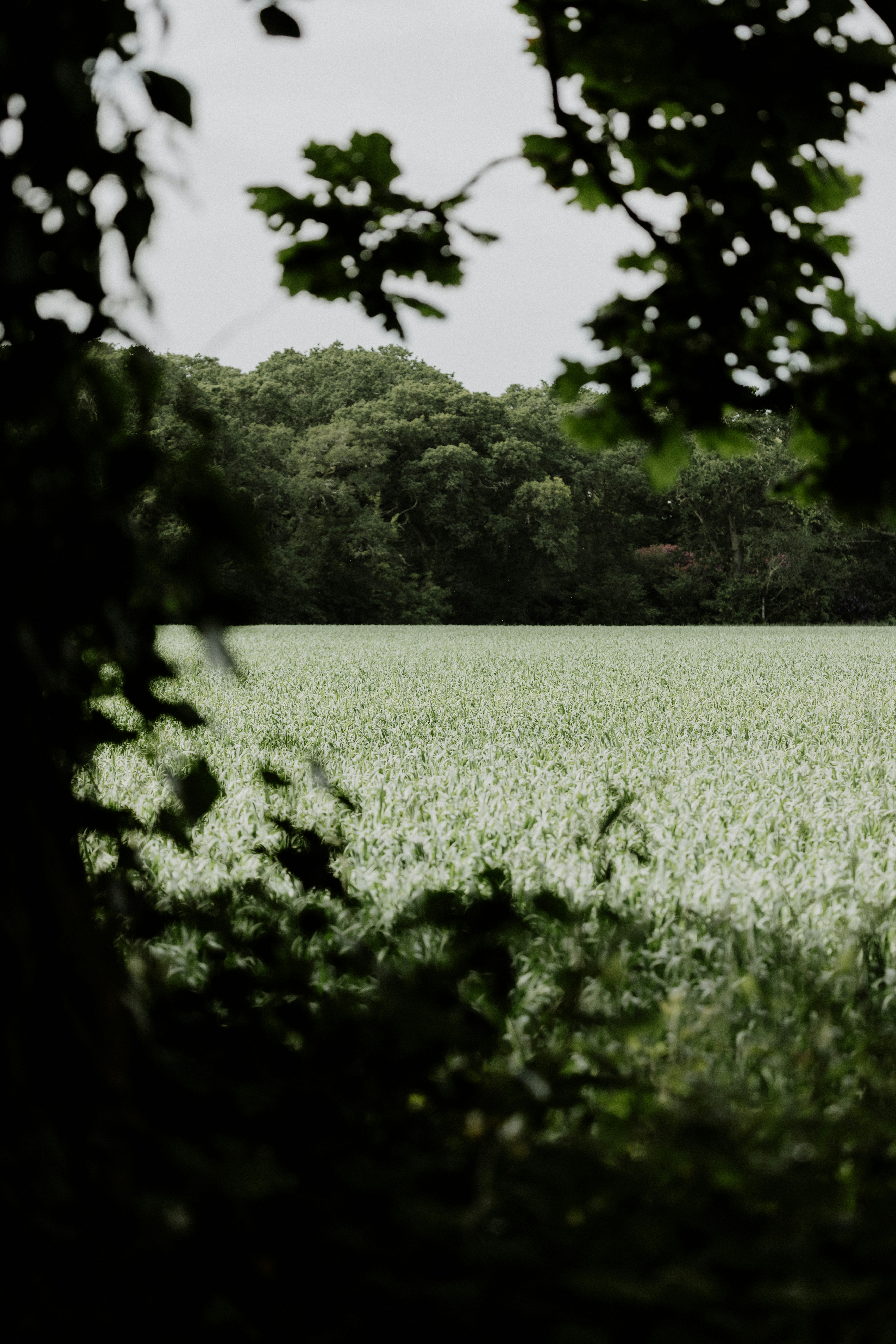 Photo by anniespratt