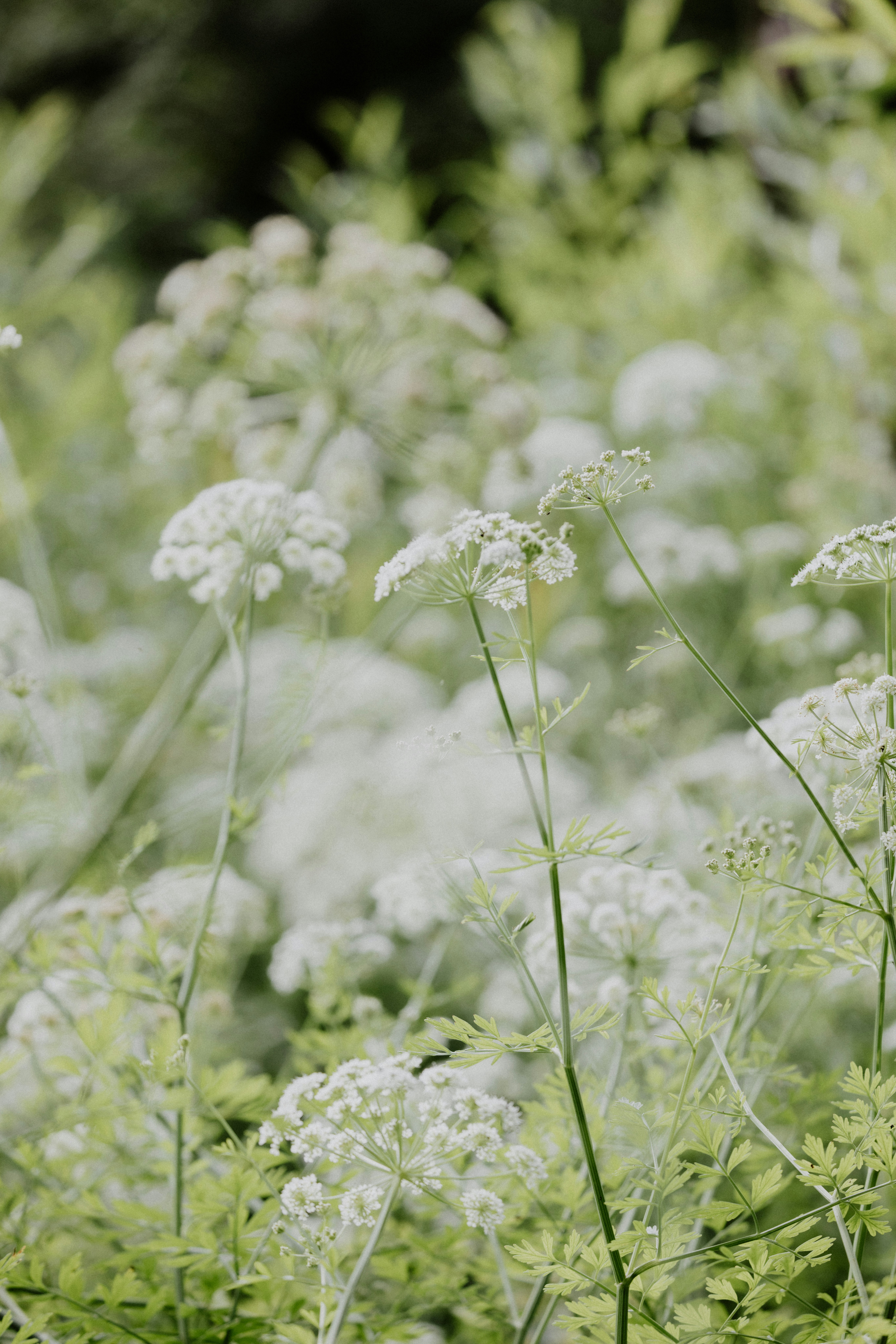 Photo by anniespratt