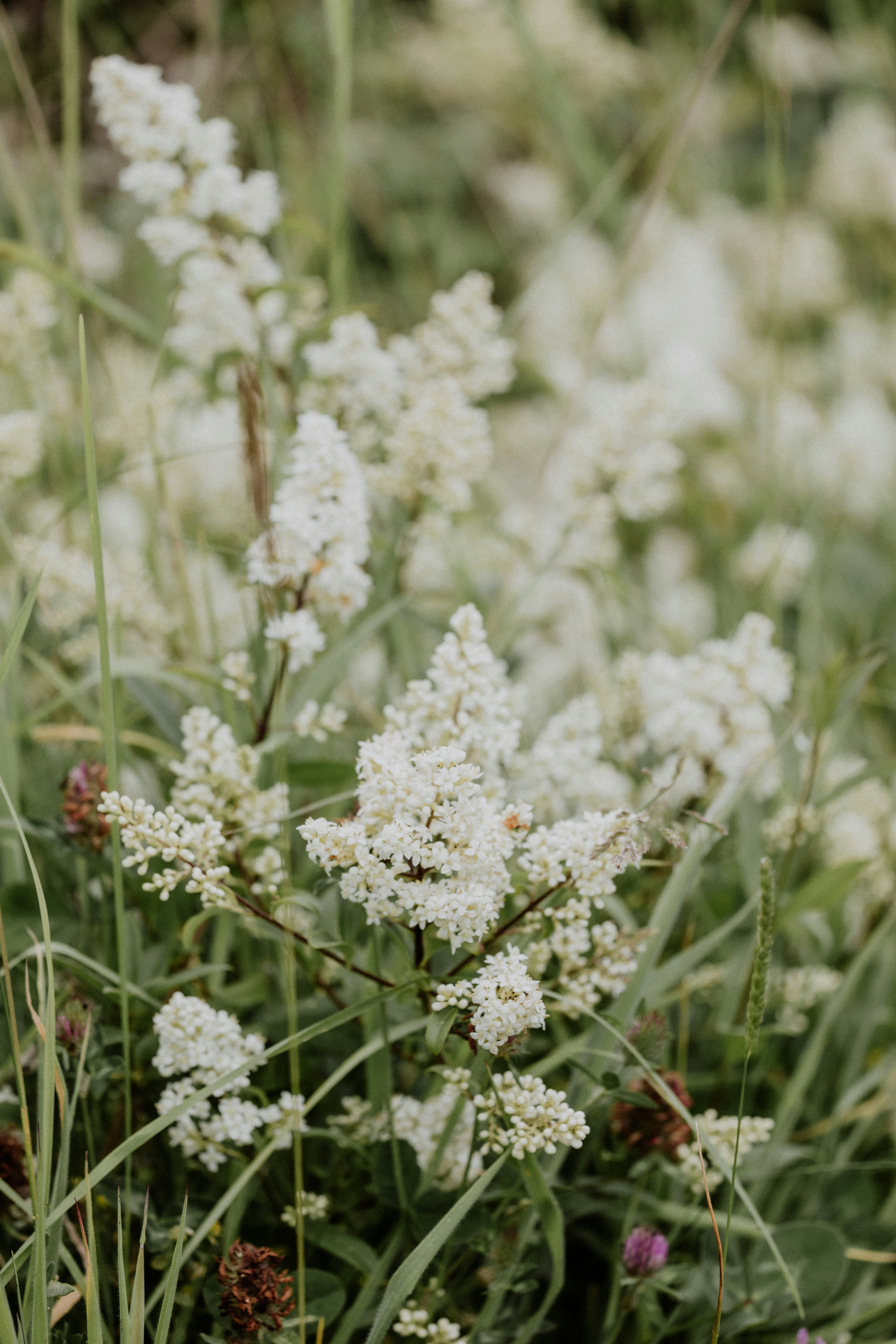 Photo by anniespratt