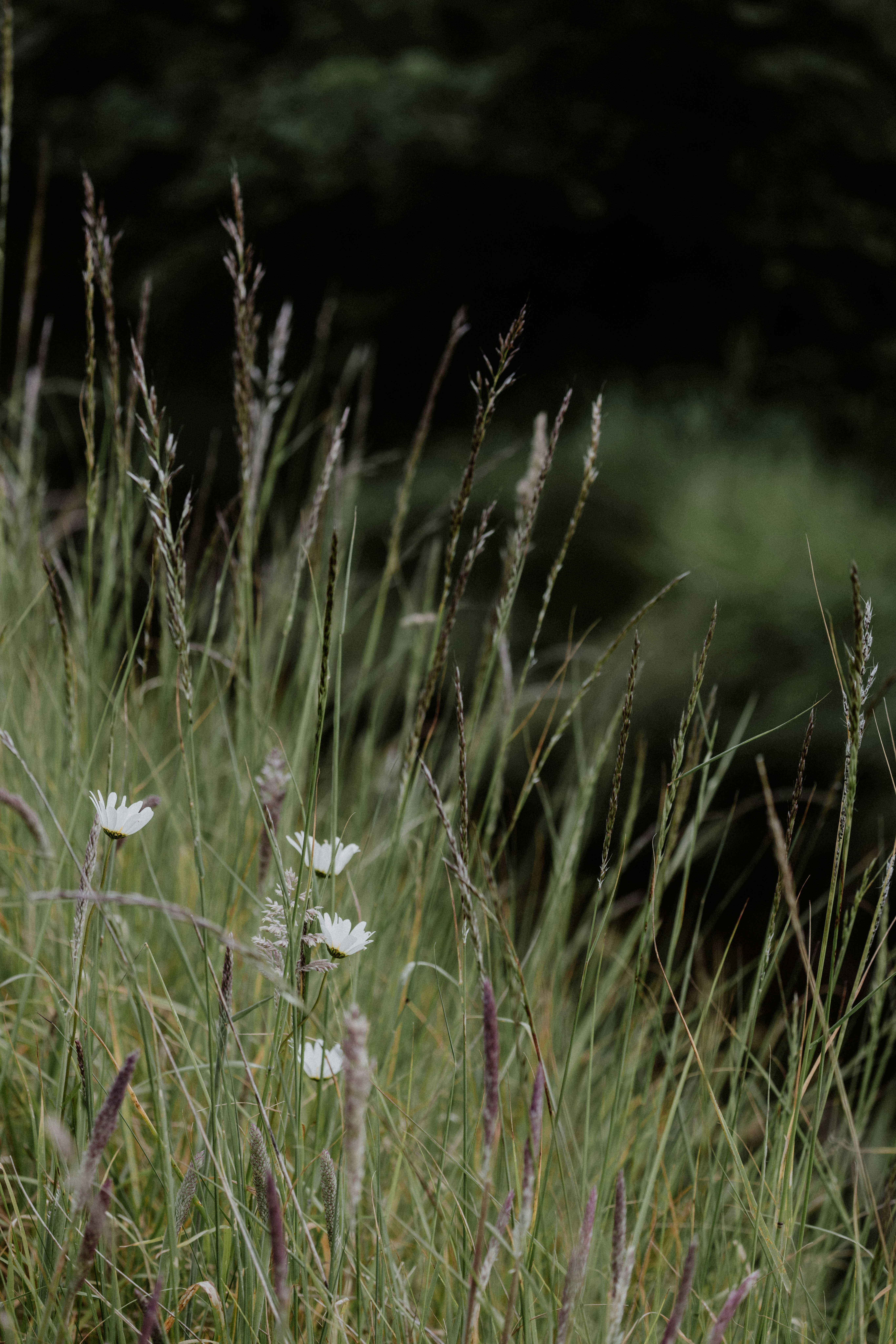 Photo by anniespratt