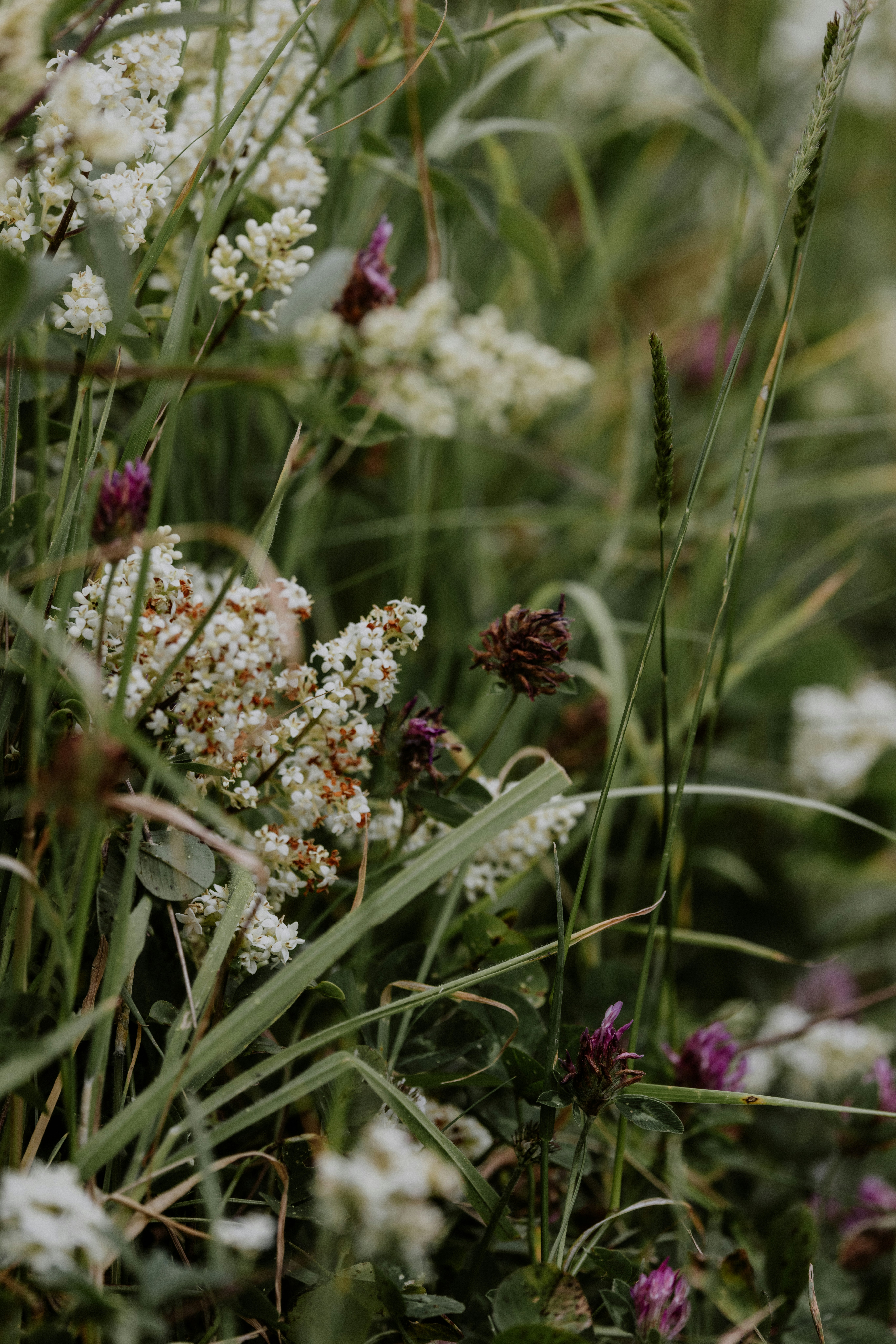 Photo by anniespratt