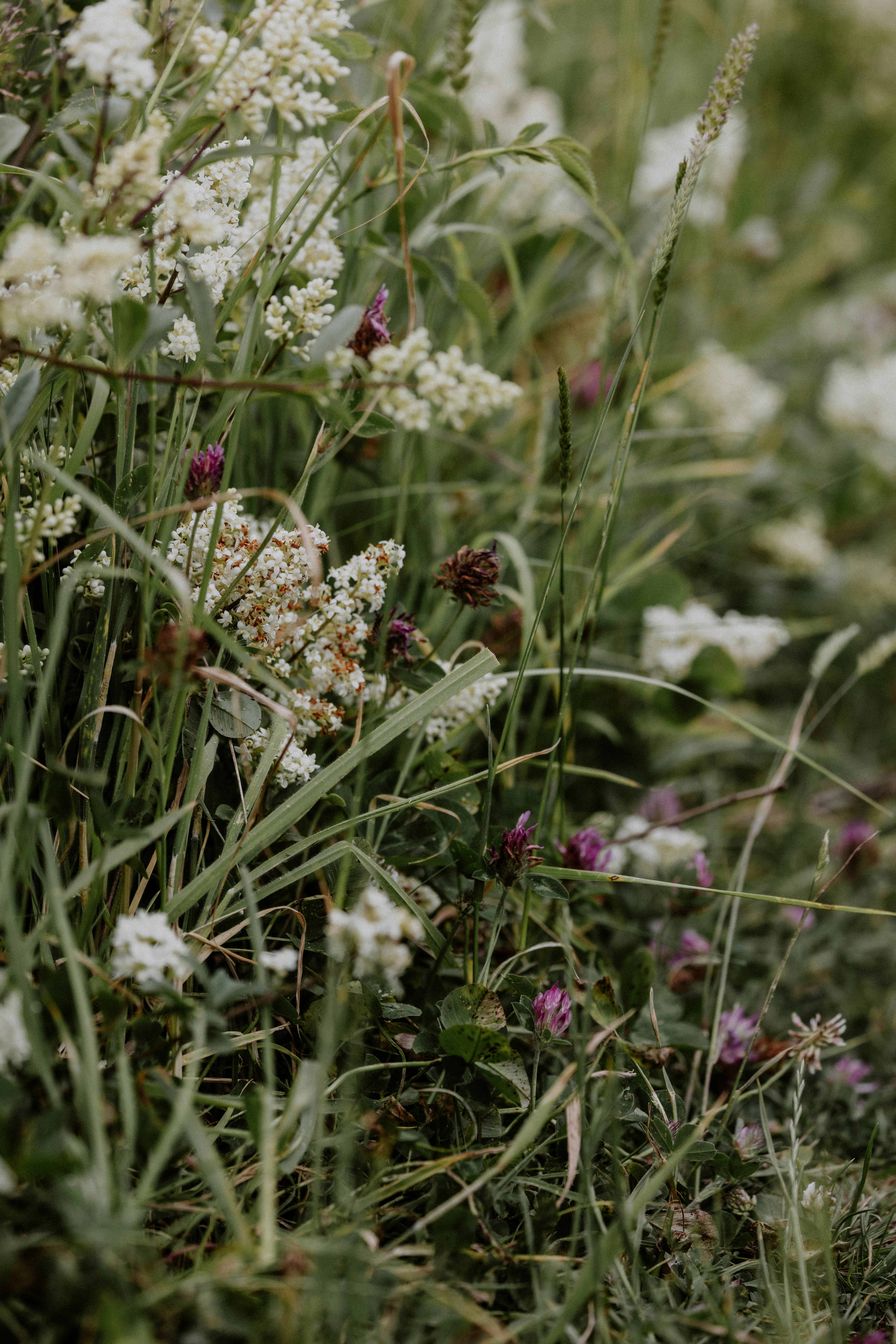 Photo by anniespratt