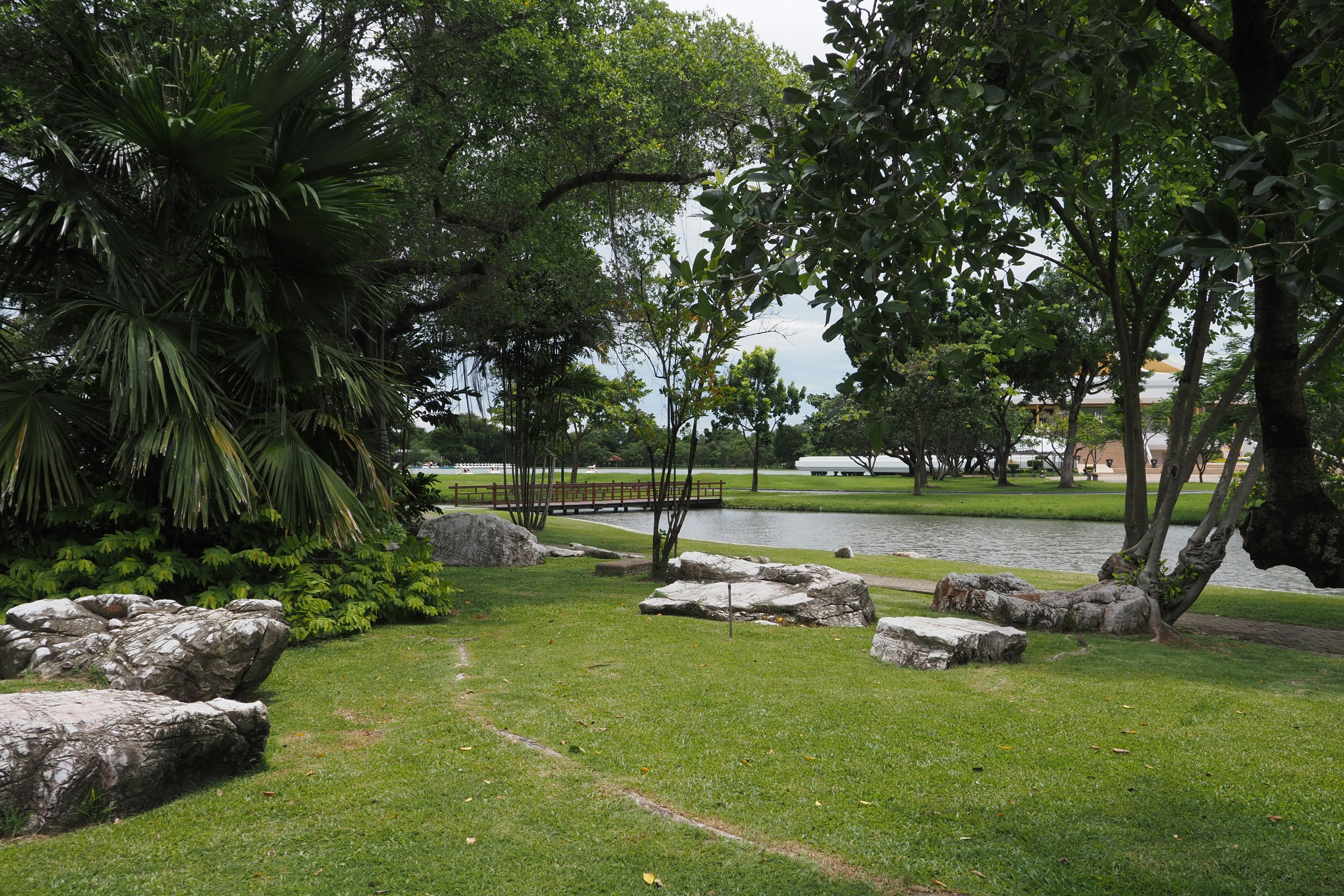 A grassy area with trees, rocks, and a body of water