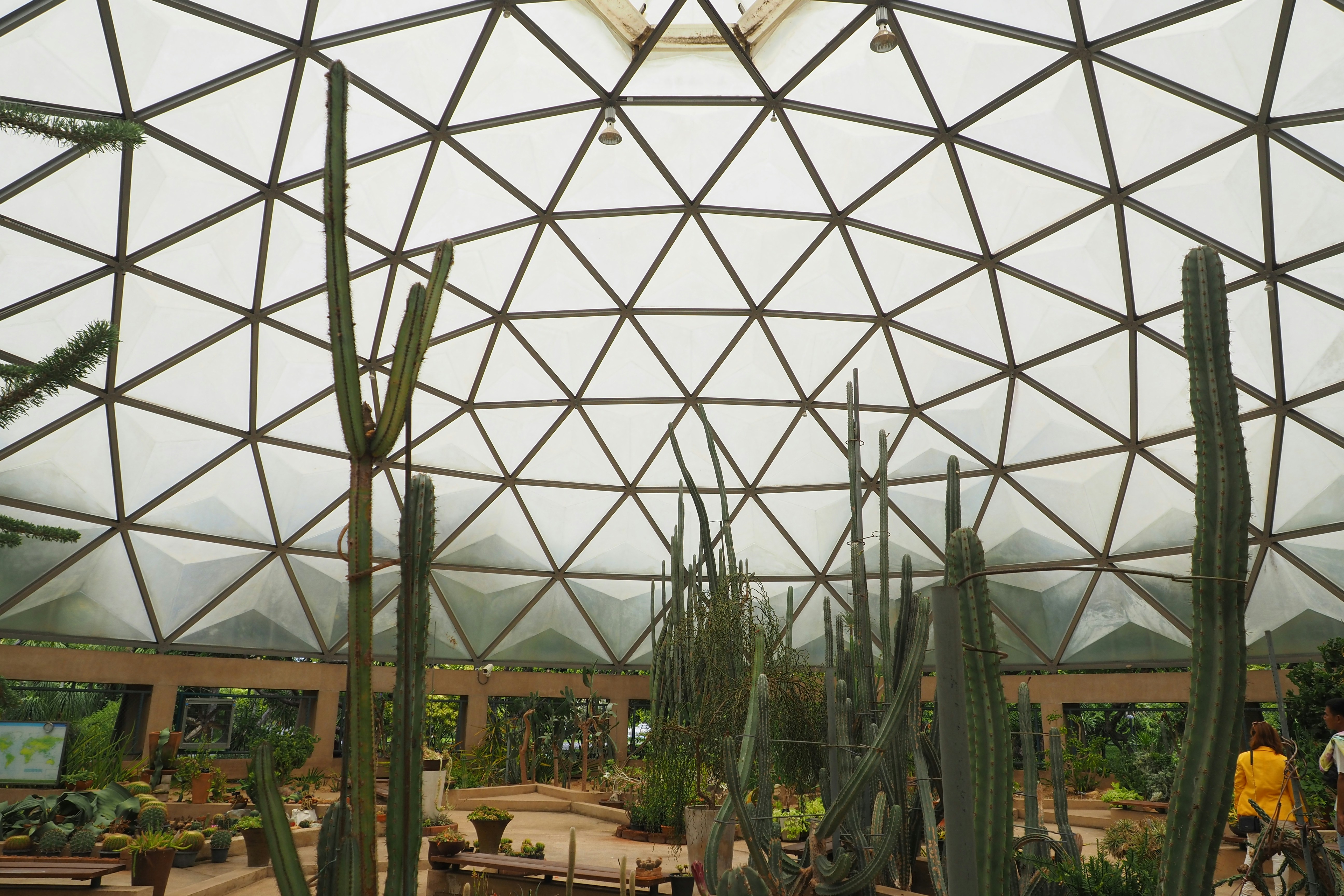 A group of people riding bikes inside of a greenhouse
