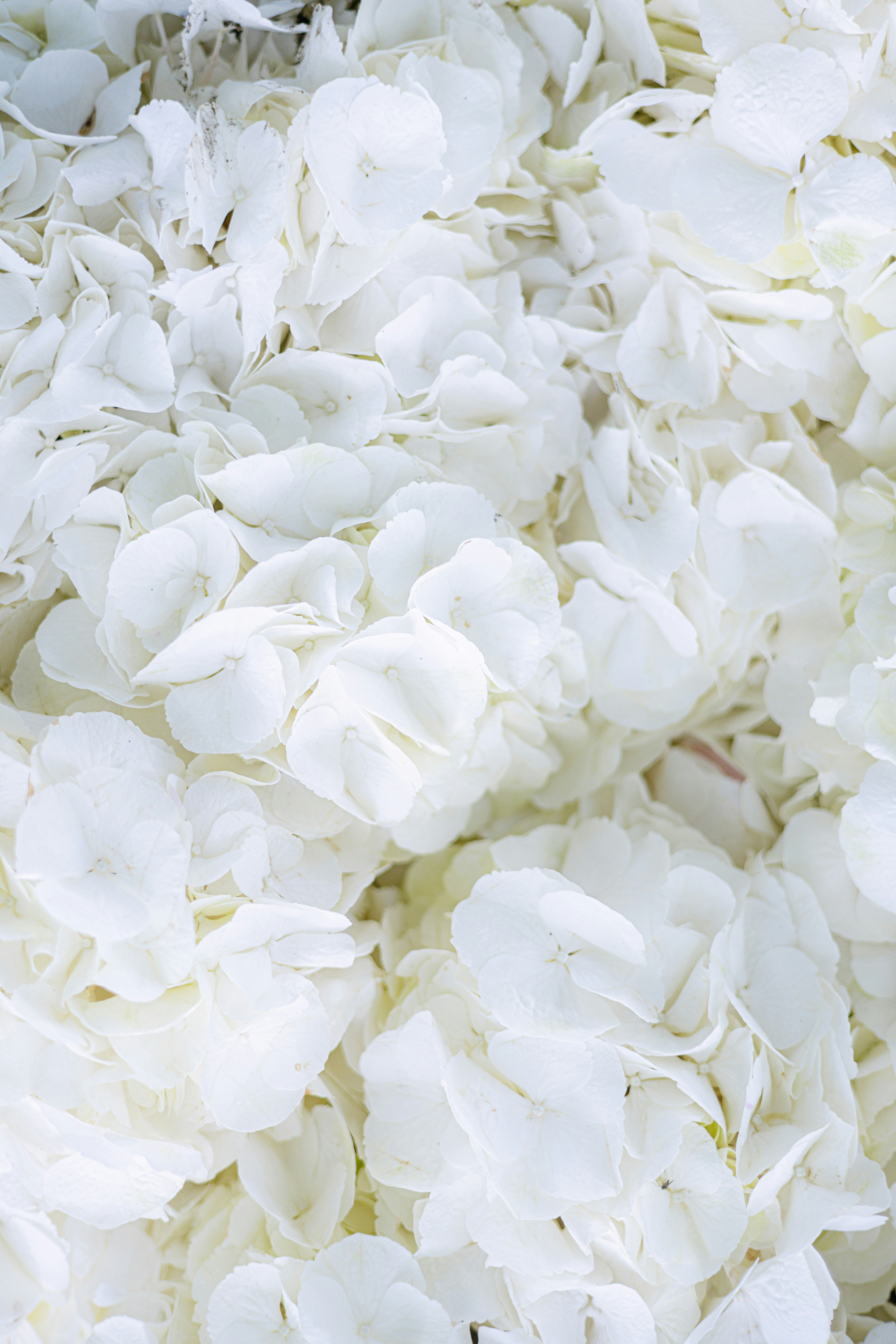 Photo by filipp_roman_photography