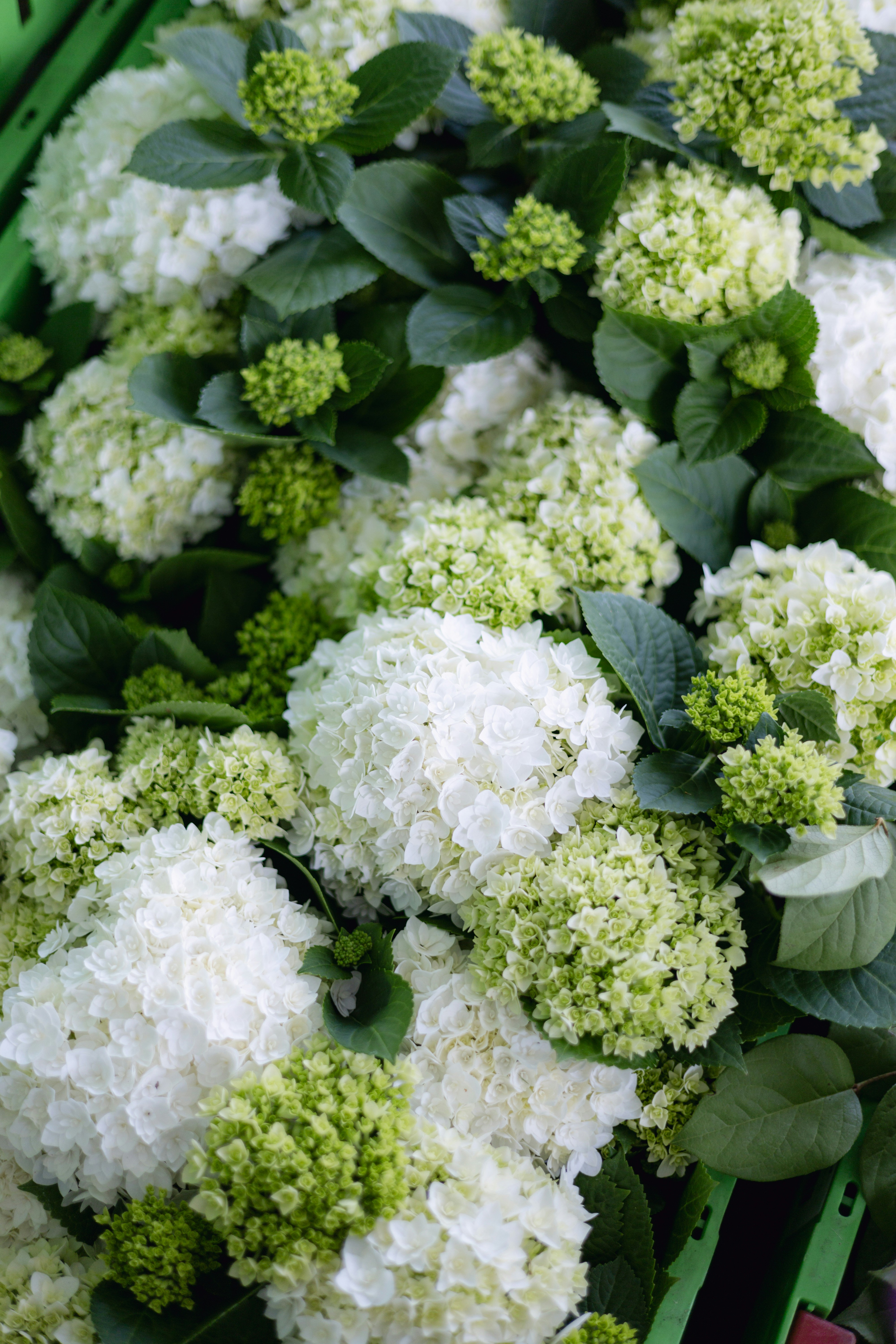 Photo by filipp_roman_photography