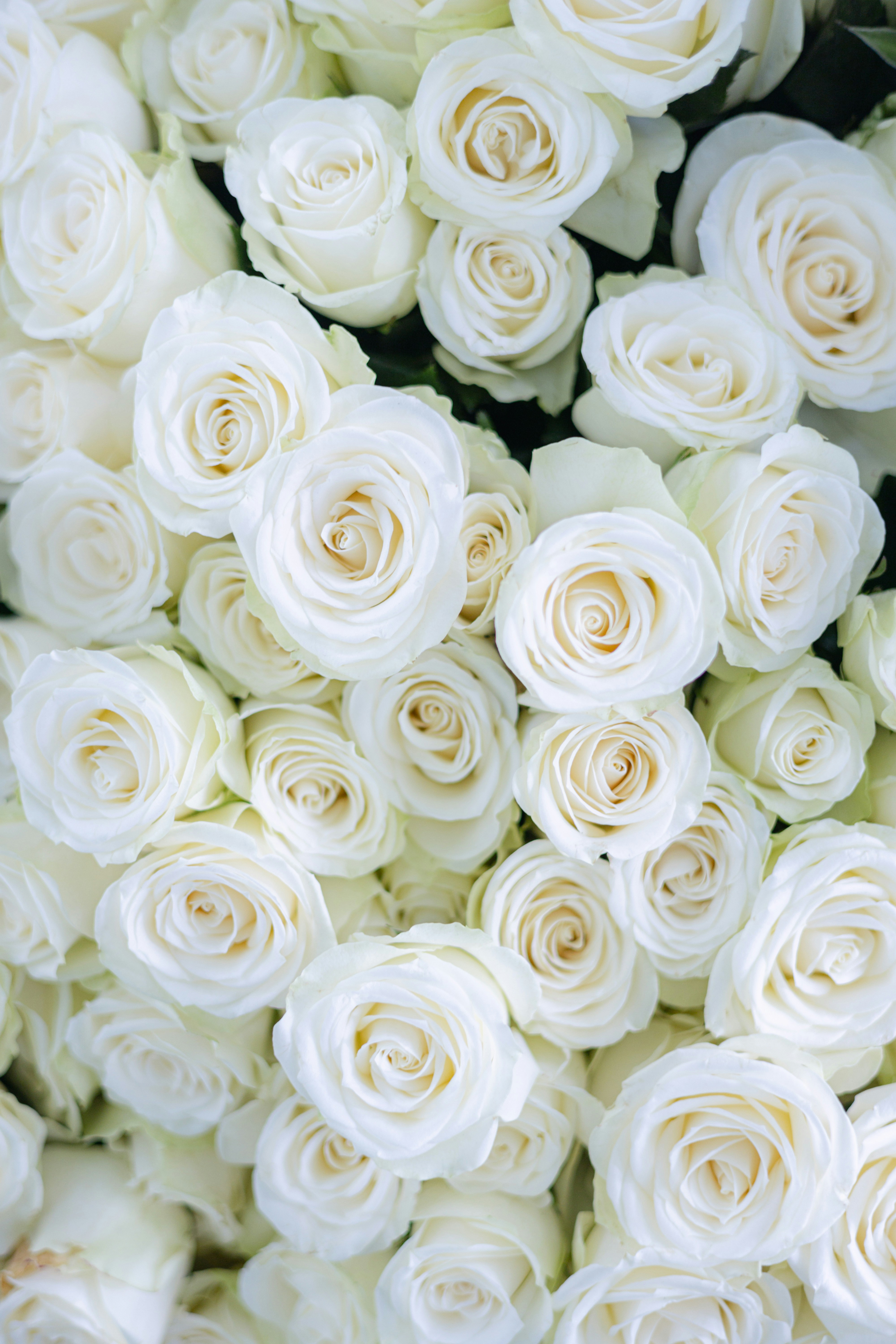 Photo by filipp_roman_photography