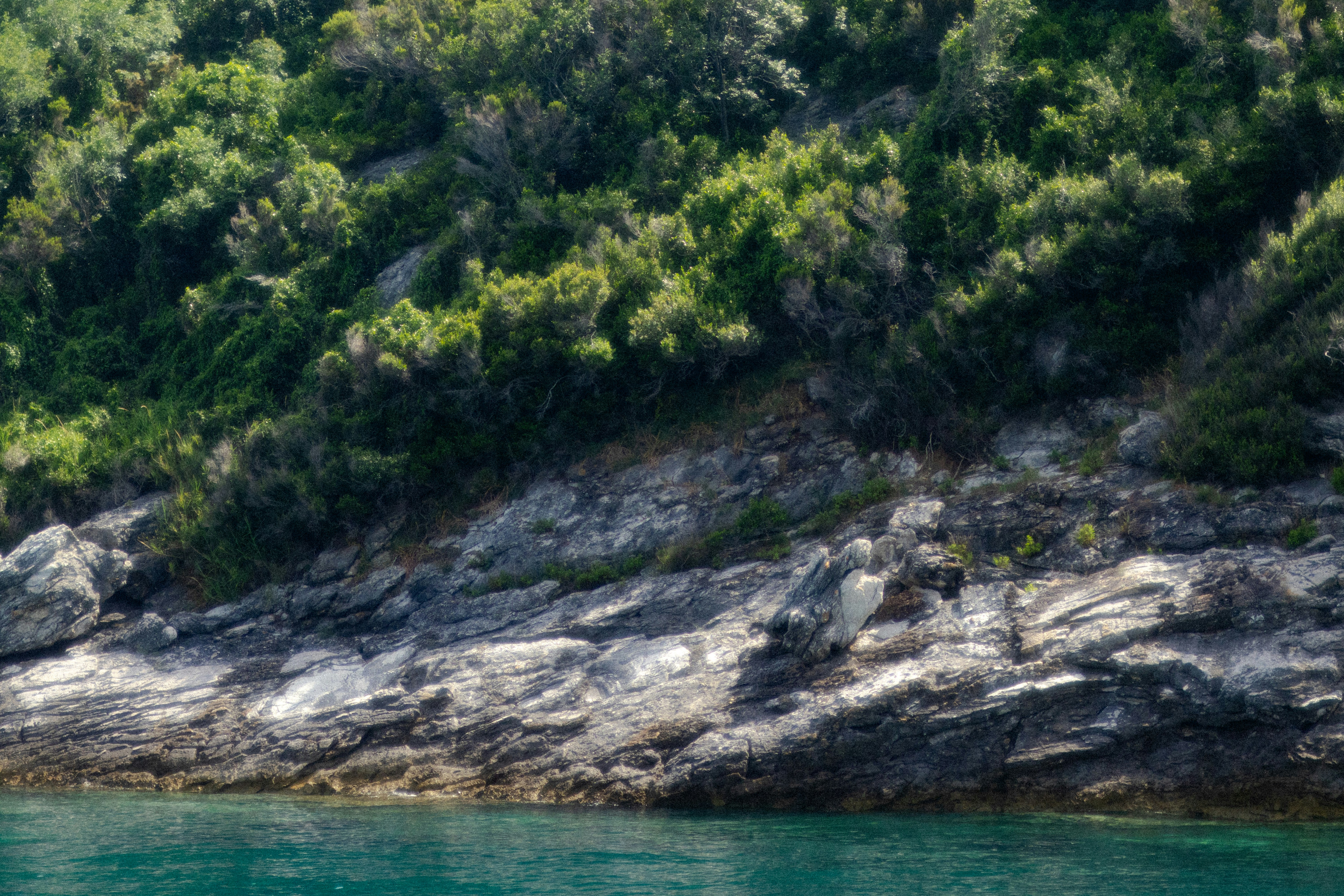 Photo by anyutakejbalo