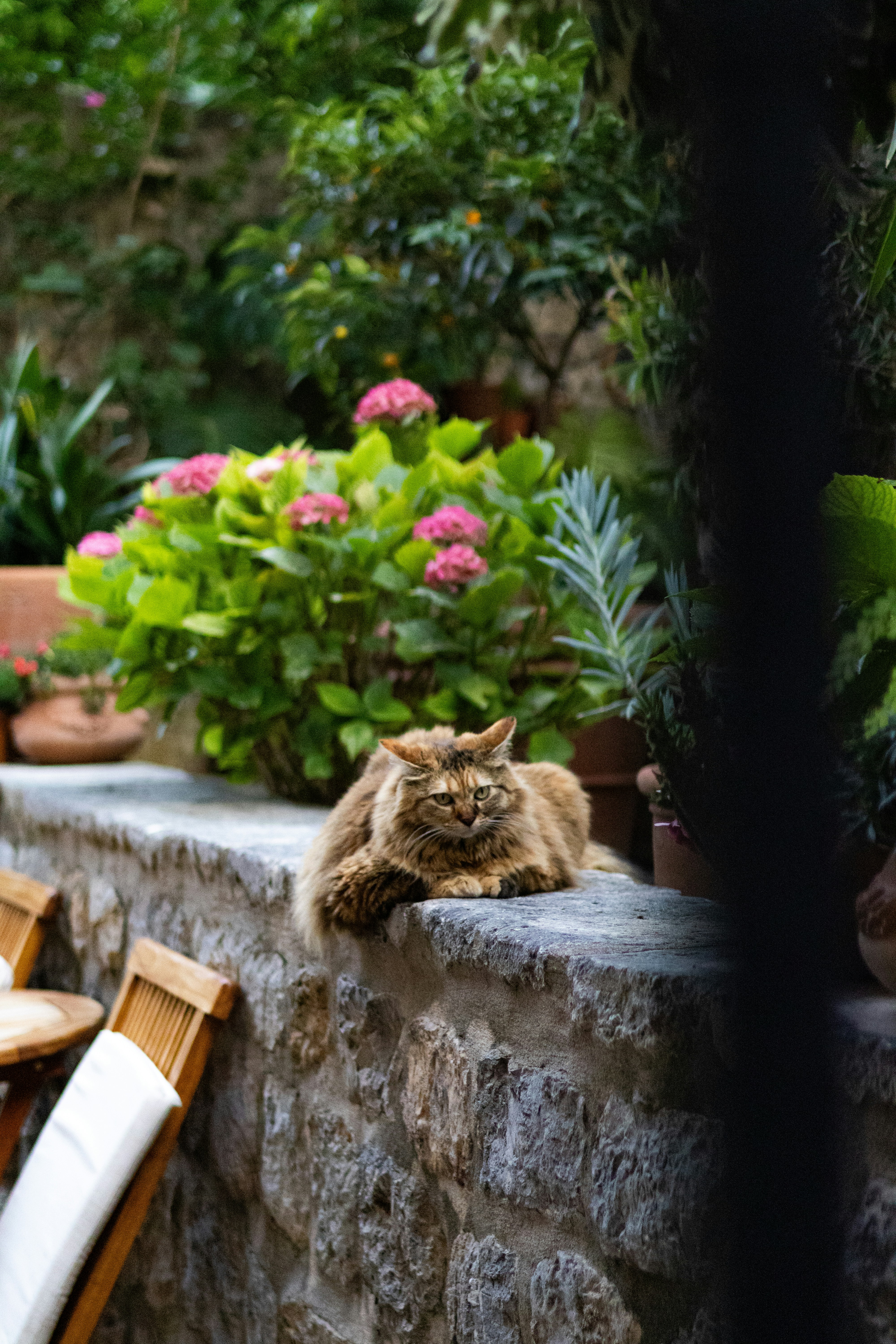 Photo by anyutakejbalo