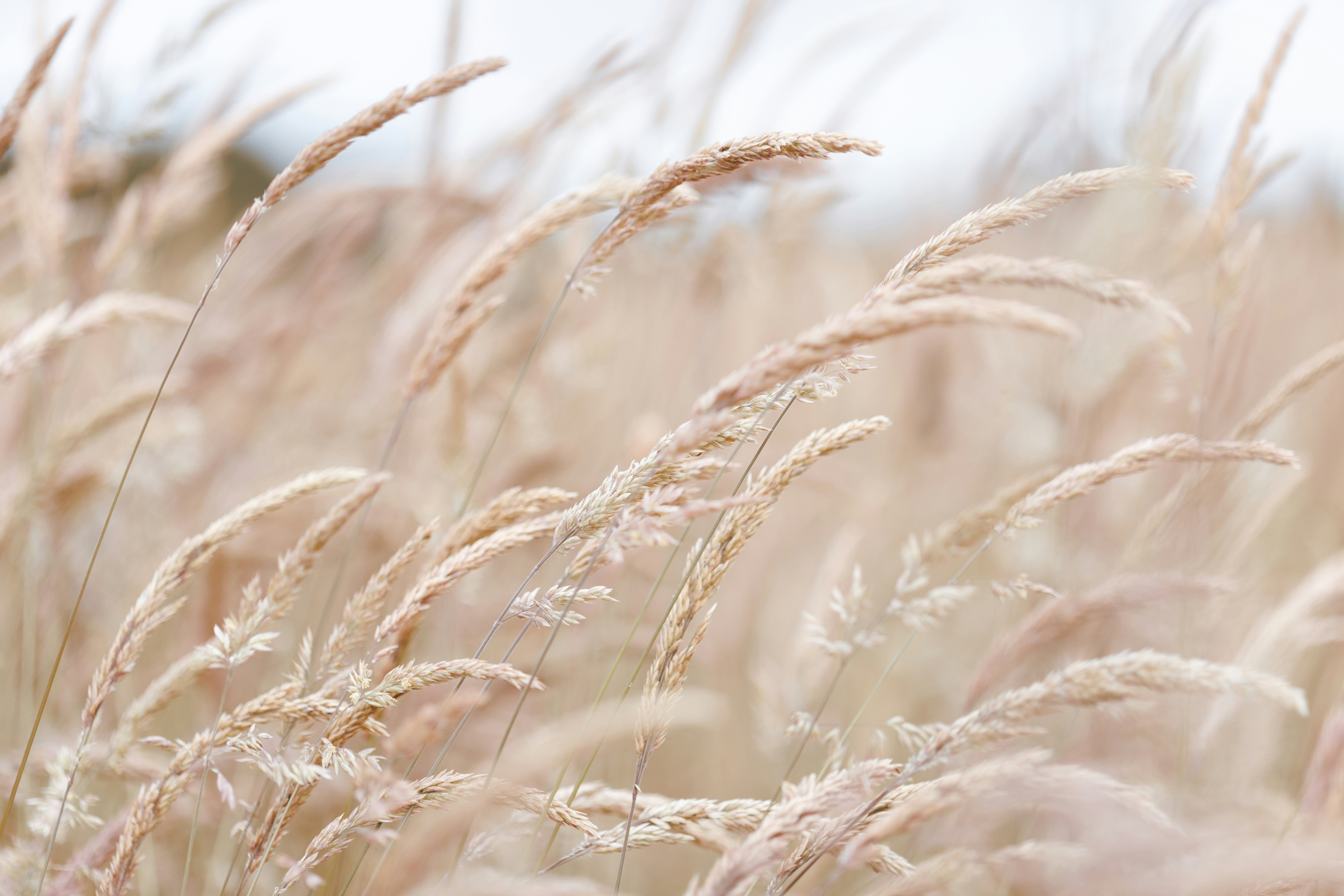 Photo by nataliekinnear