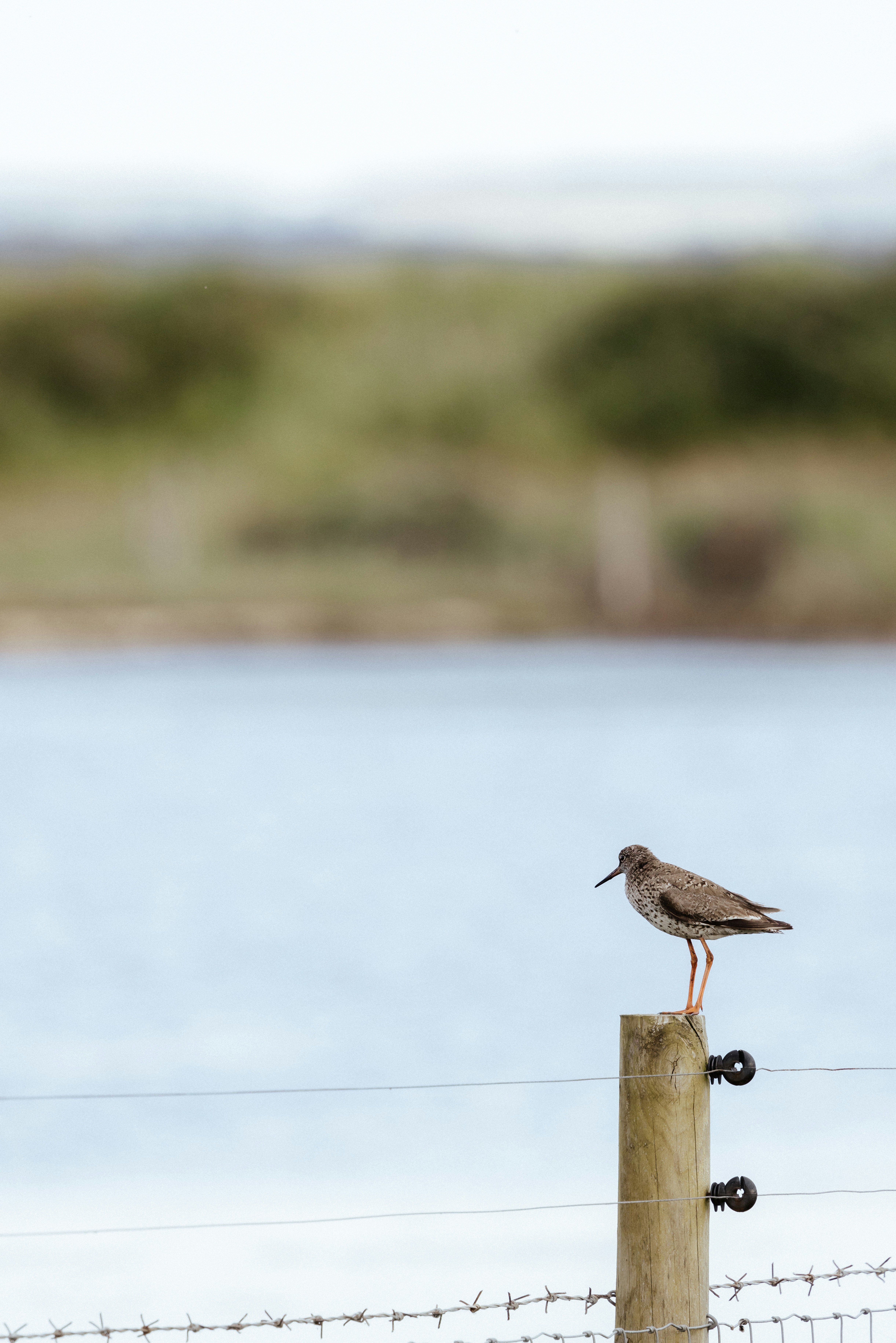 Photo by anniespratt