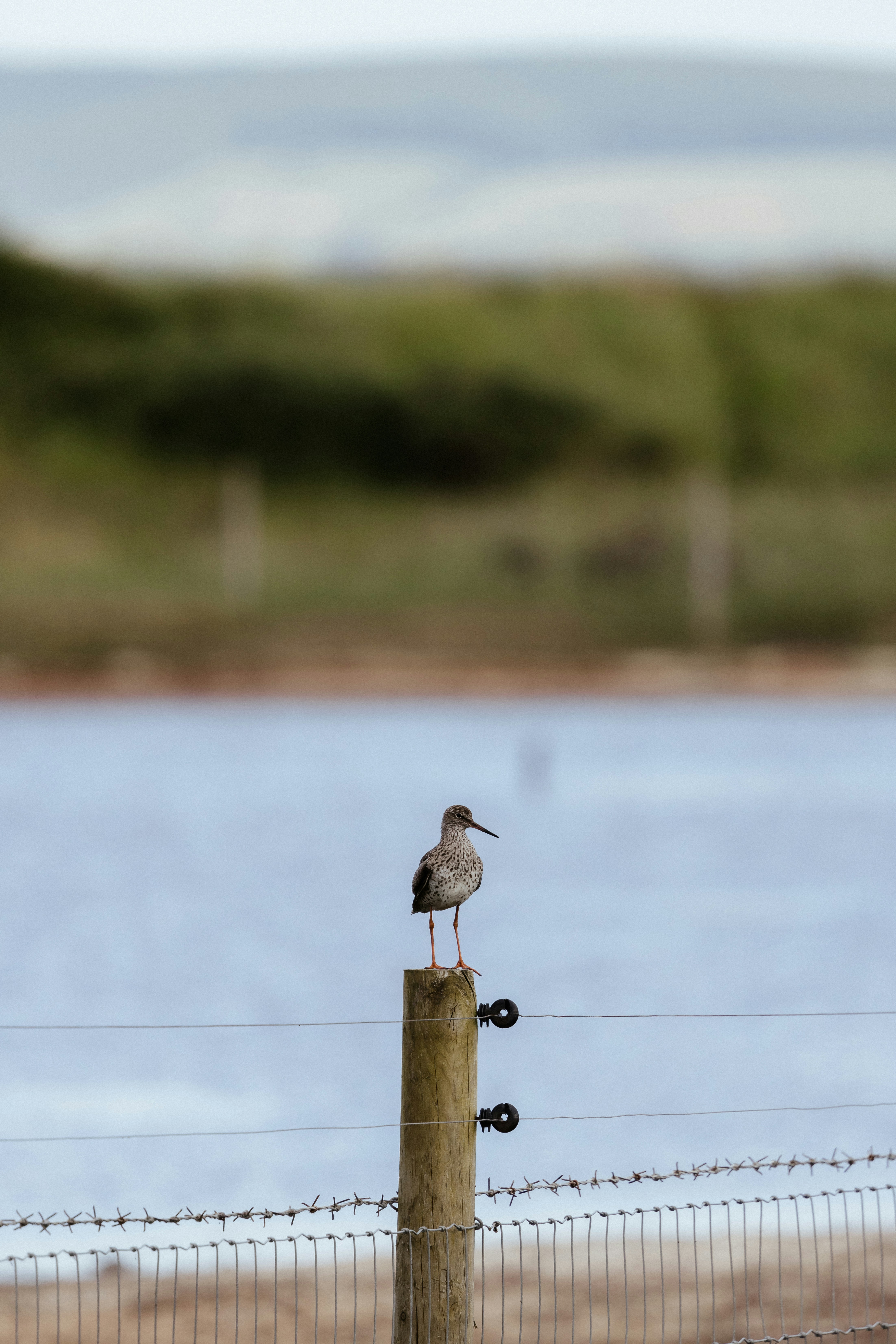 Photo by anniespratt