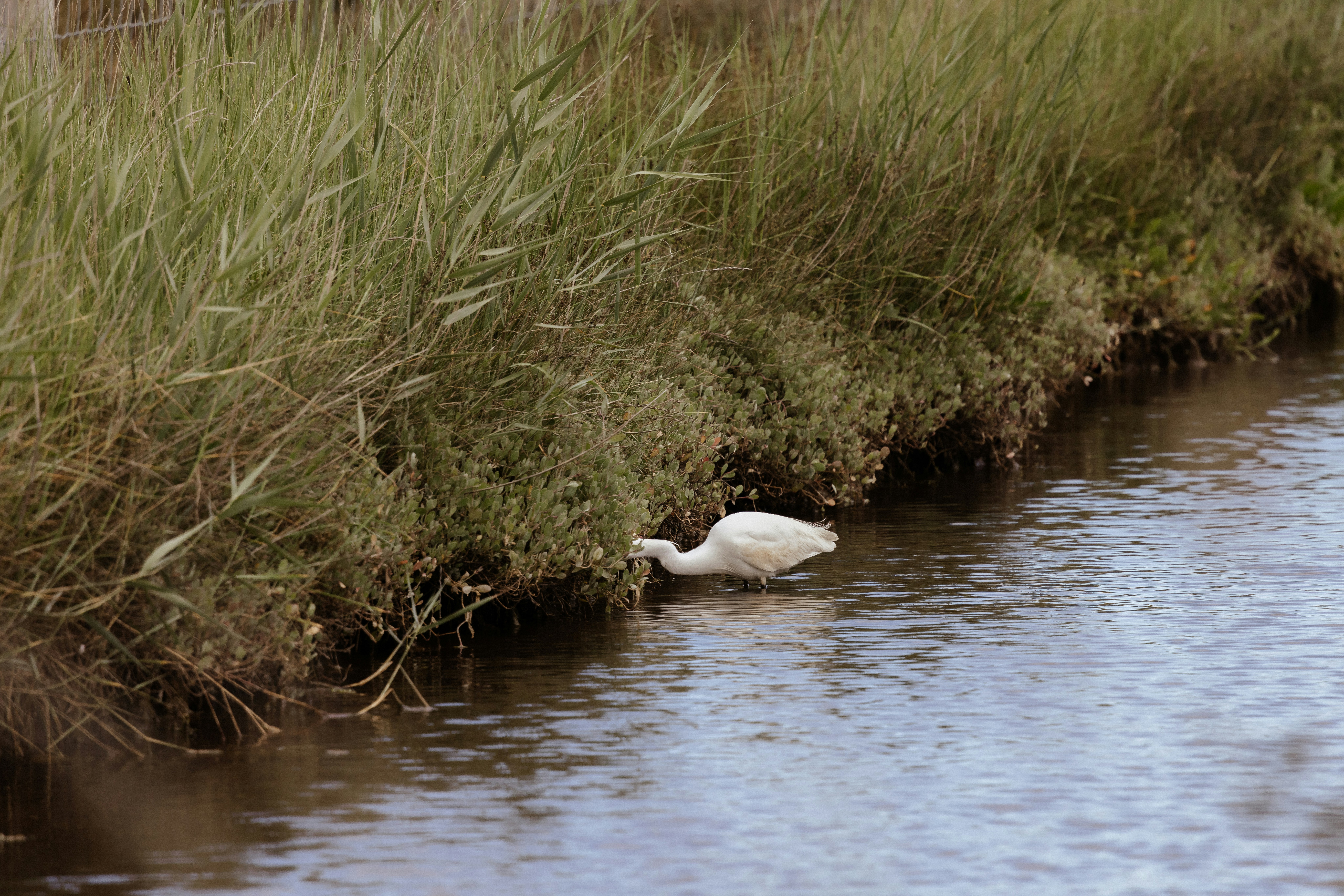 Photo by anniespratt